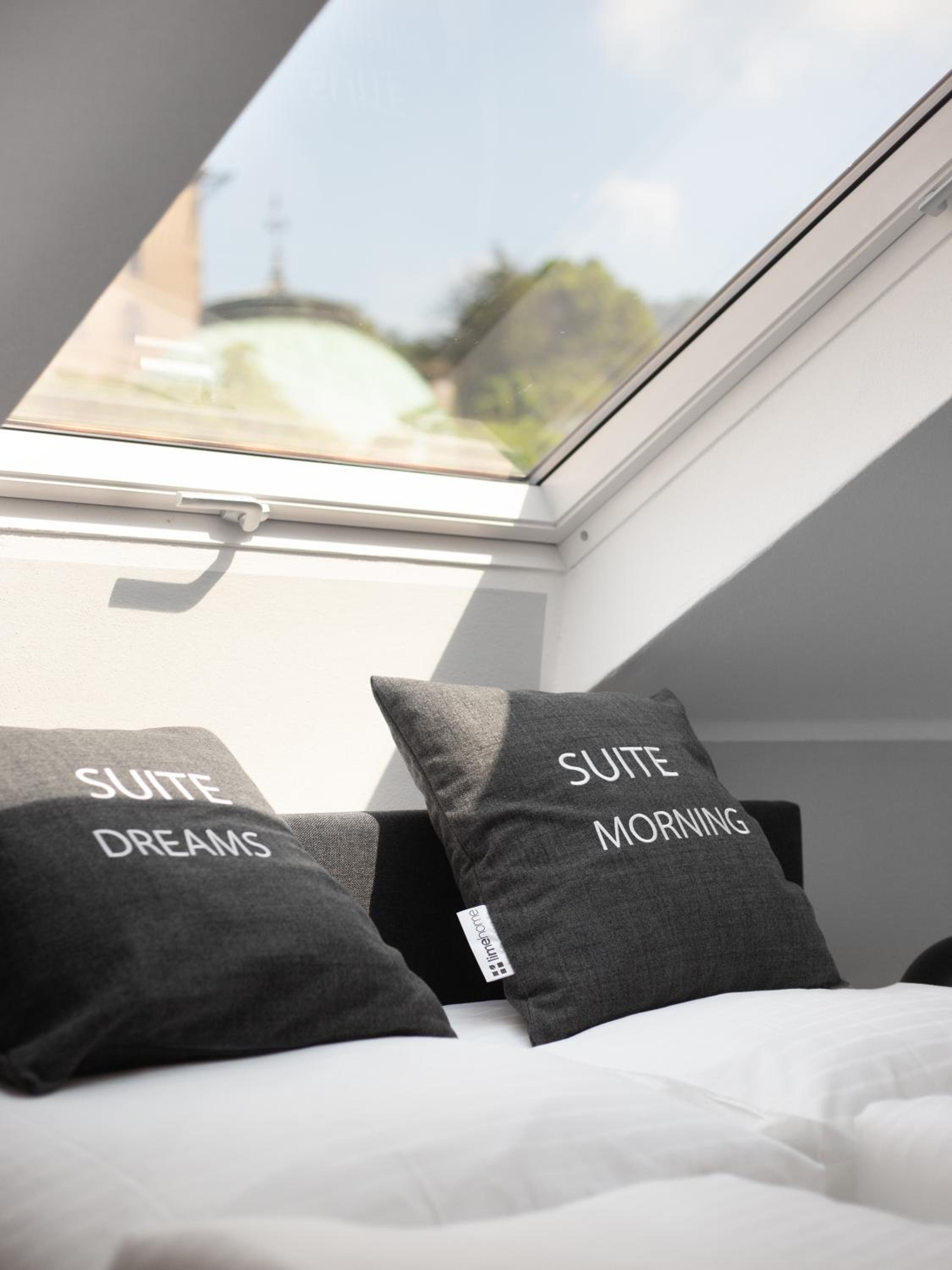 Three-Bedroom Penthouse Suite - Photo 14