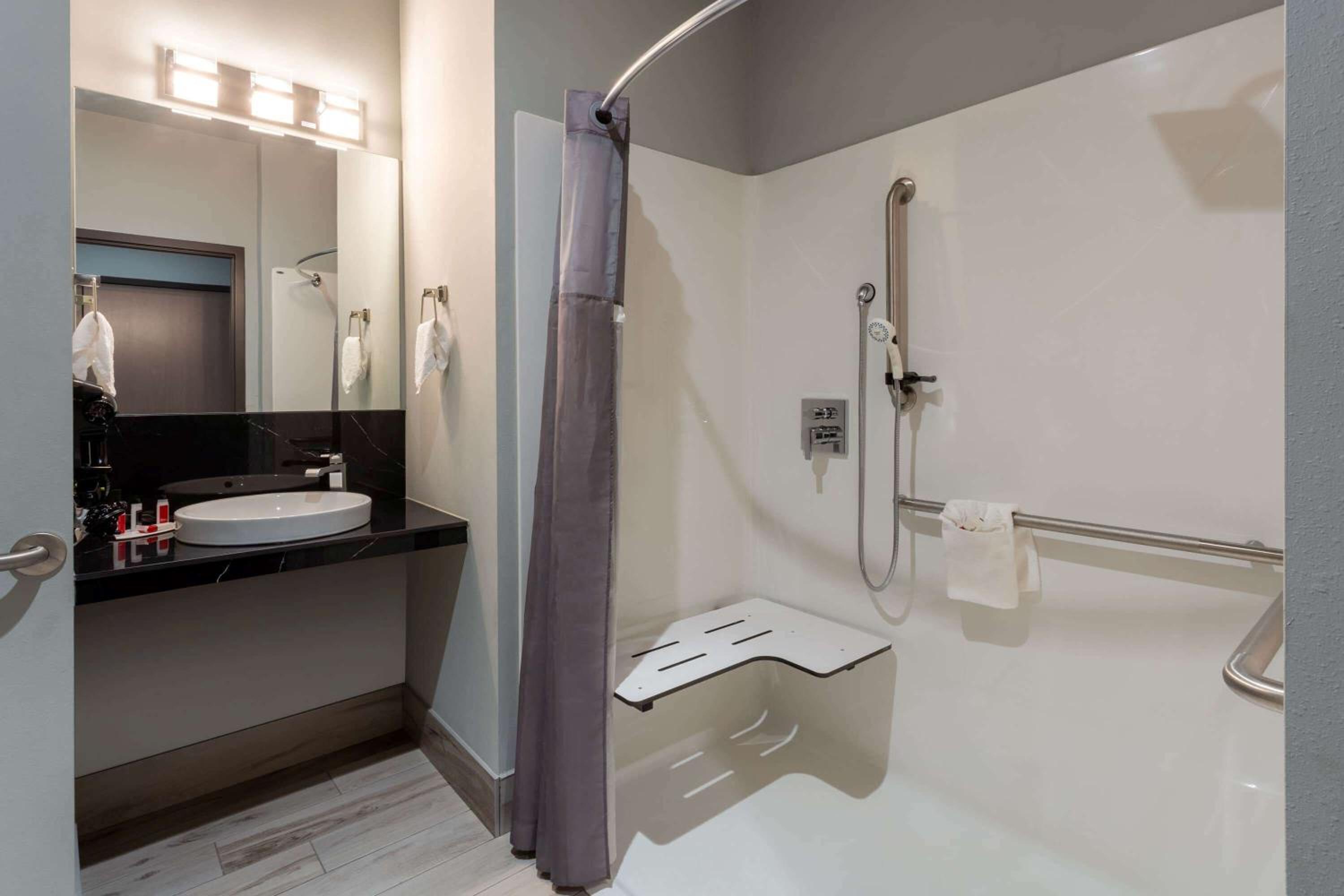 King Room - Pet Friendly/Mobility Access/Non-Smoking - Photo 4