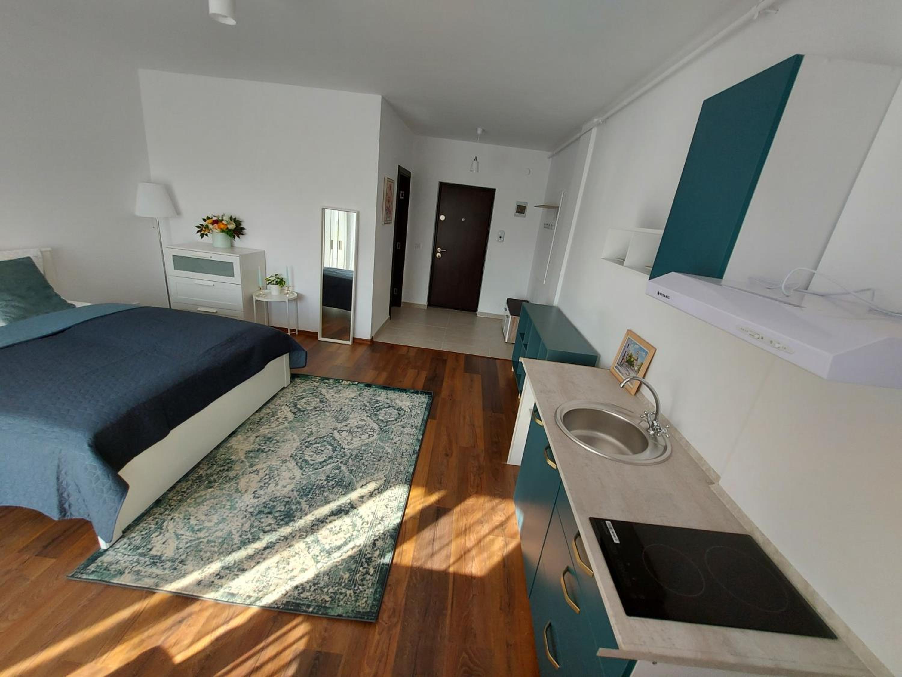 One-Bedroom Apartment photo 2