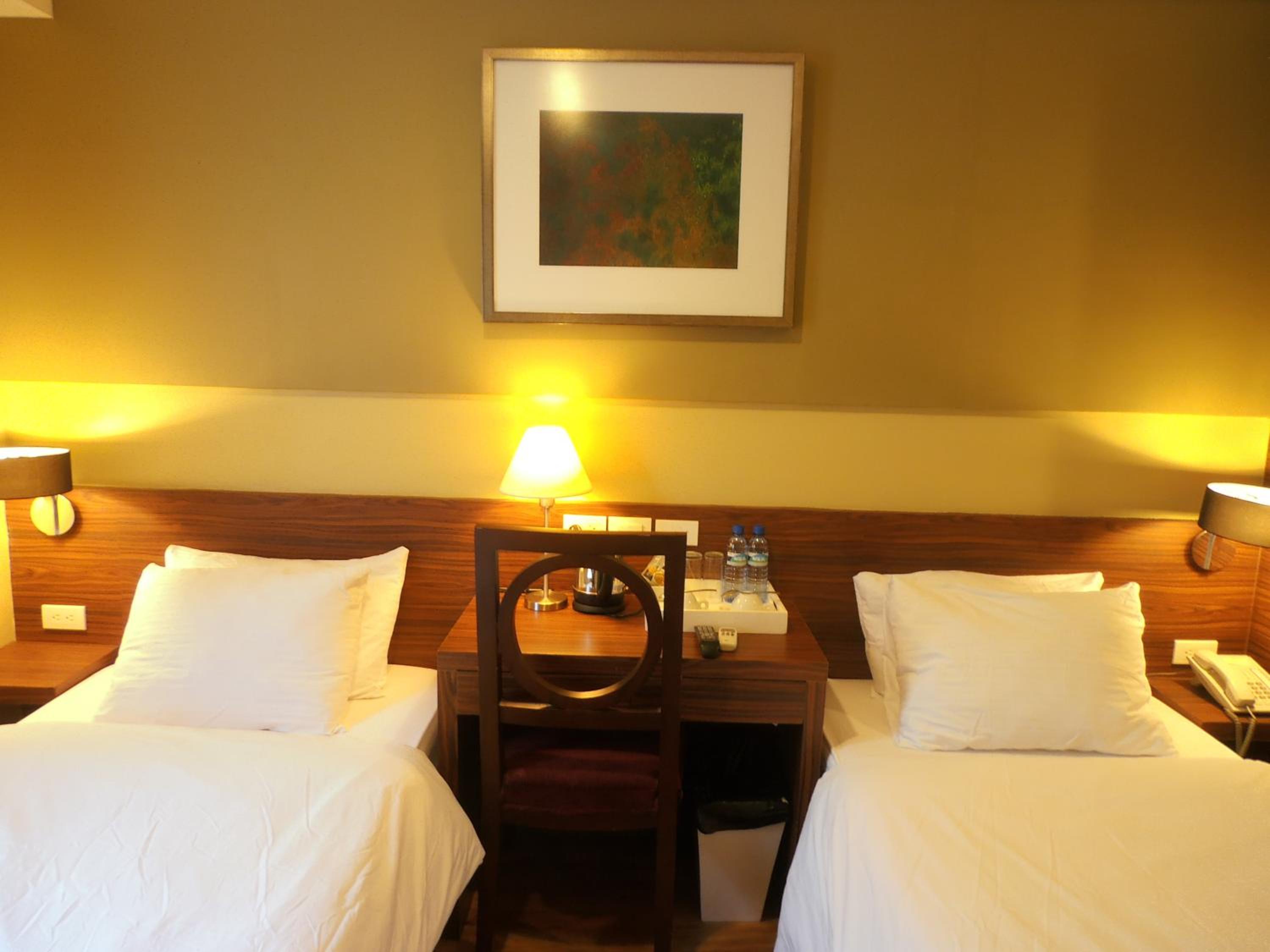 Deluxe Twin Room