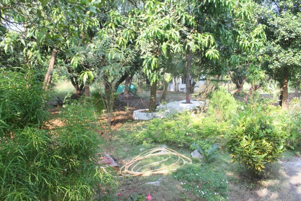 Villa - Photo 74