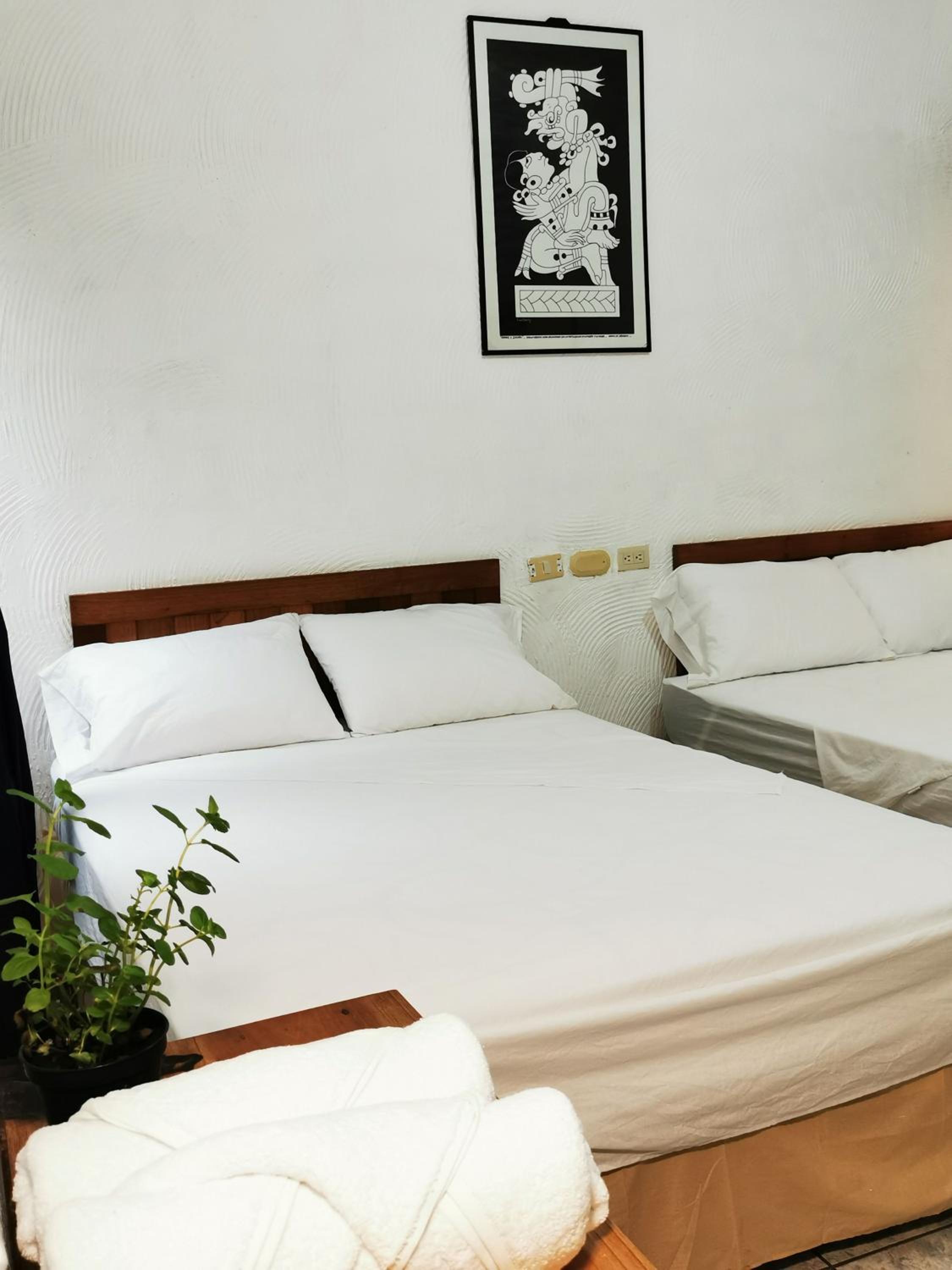 Double Room photo 2