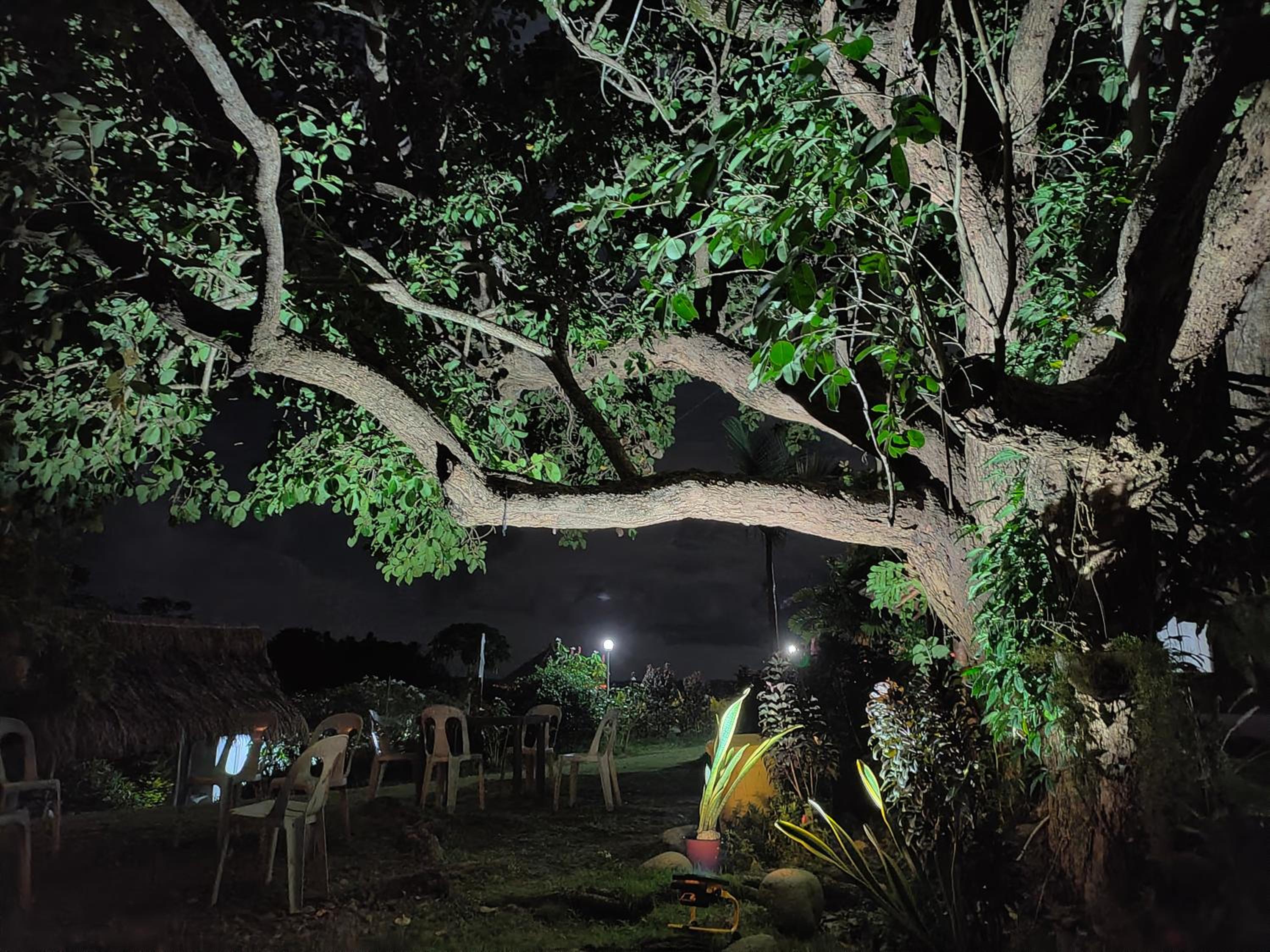 Bungalow - Photo 3