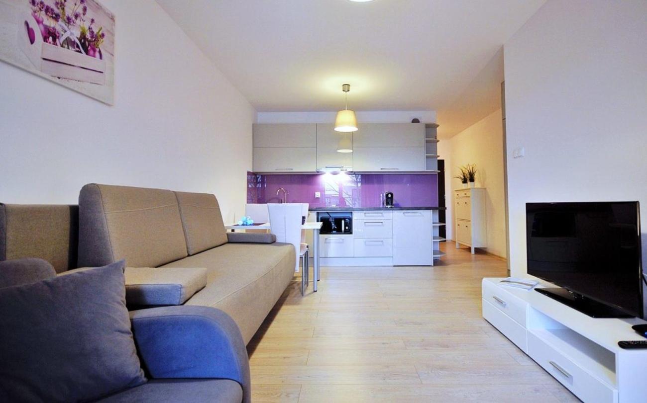 Studio with Sofa Bed photo 1