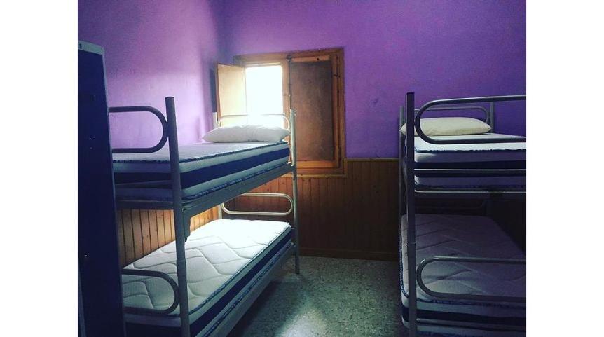 Bunk Bed in Mixed Dormitory Room photo 1