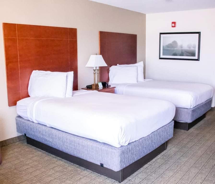 Standard Queen Room with Two Queen Beds - Non Smoking  - Photo 3