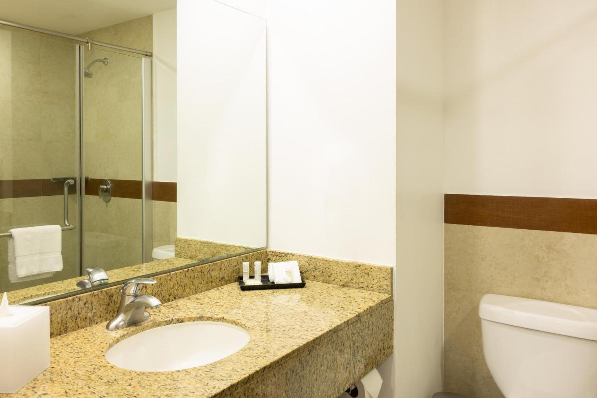 Junior King Suite - Non-Smoking photo 3