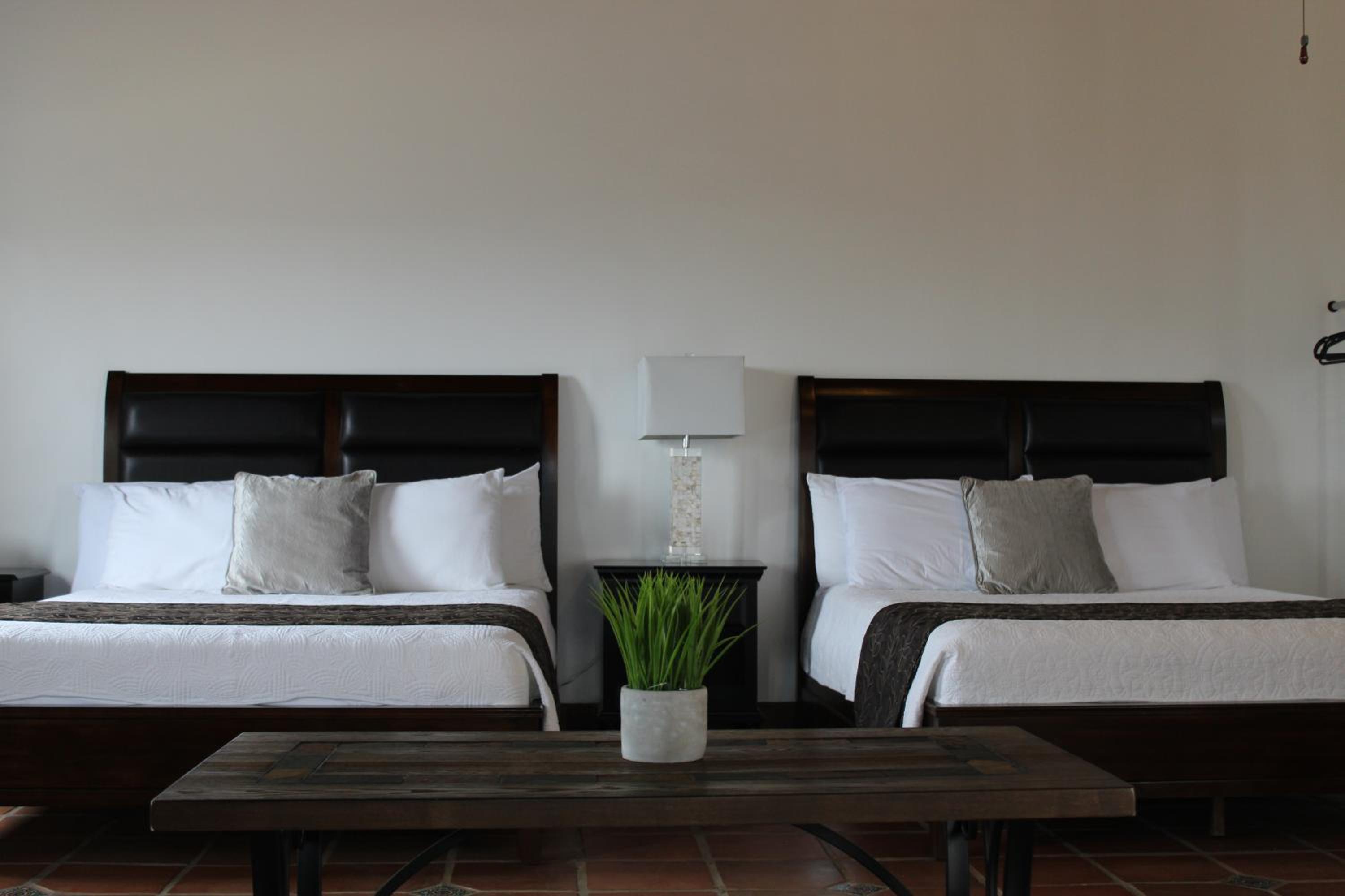Large Double or Twin Room