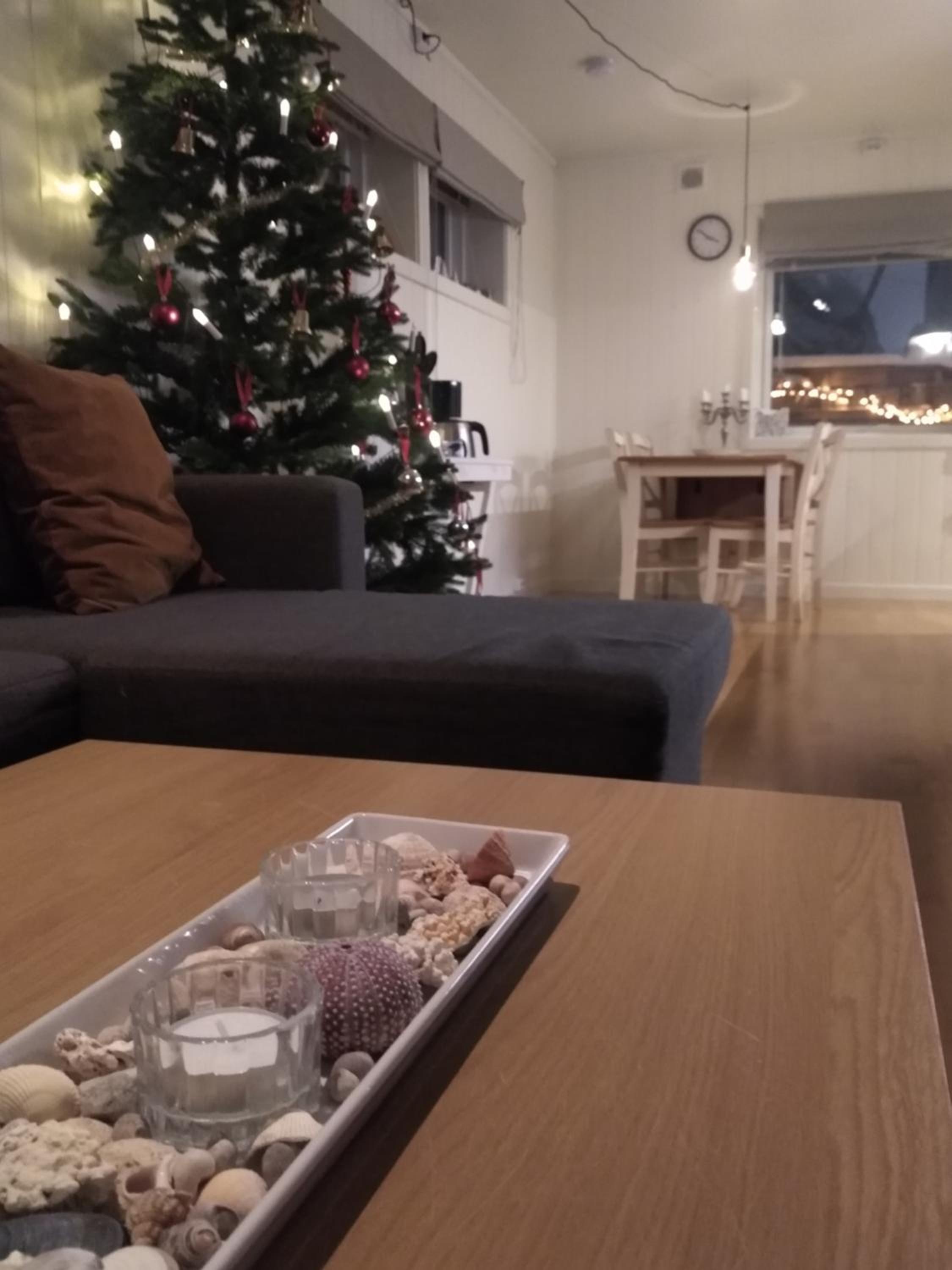 Apartment - Photo 6