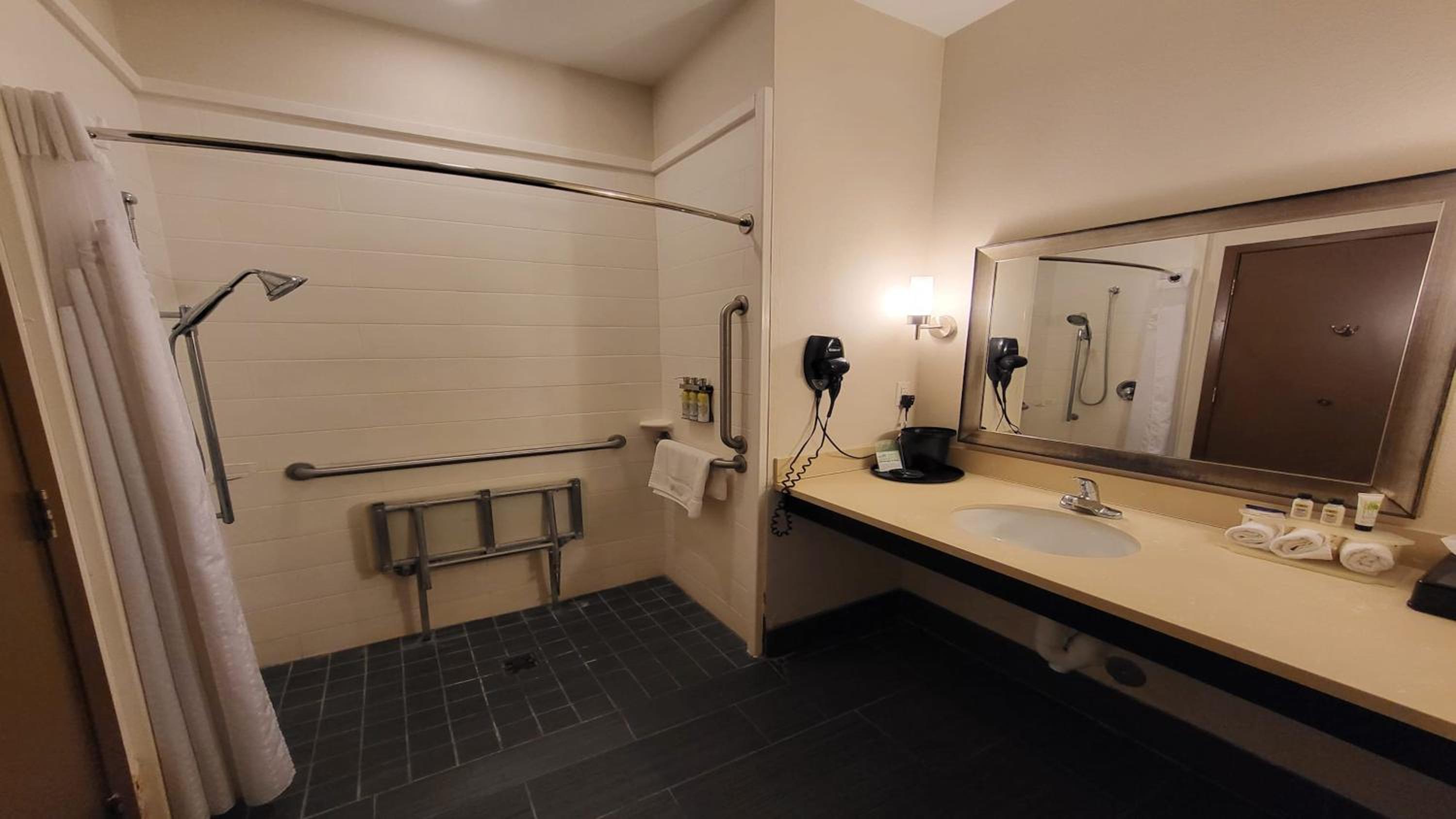 Standard King Room with Mobility Accessible Roll-In Shower