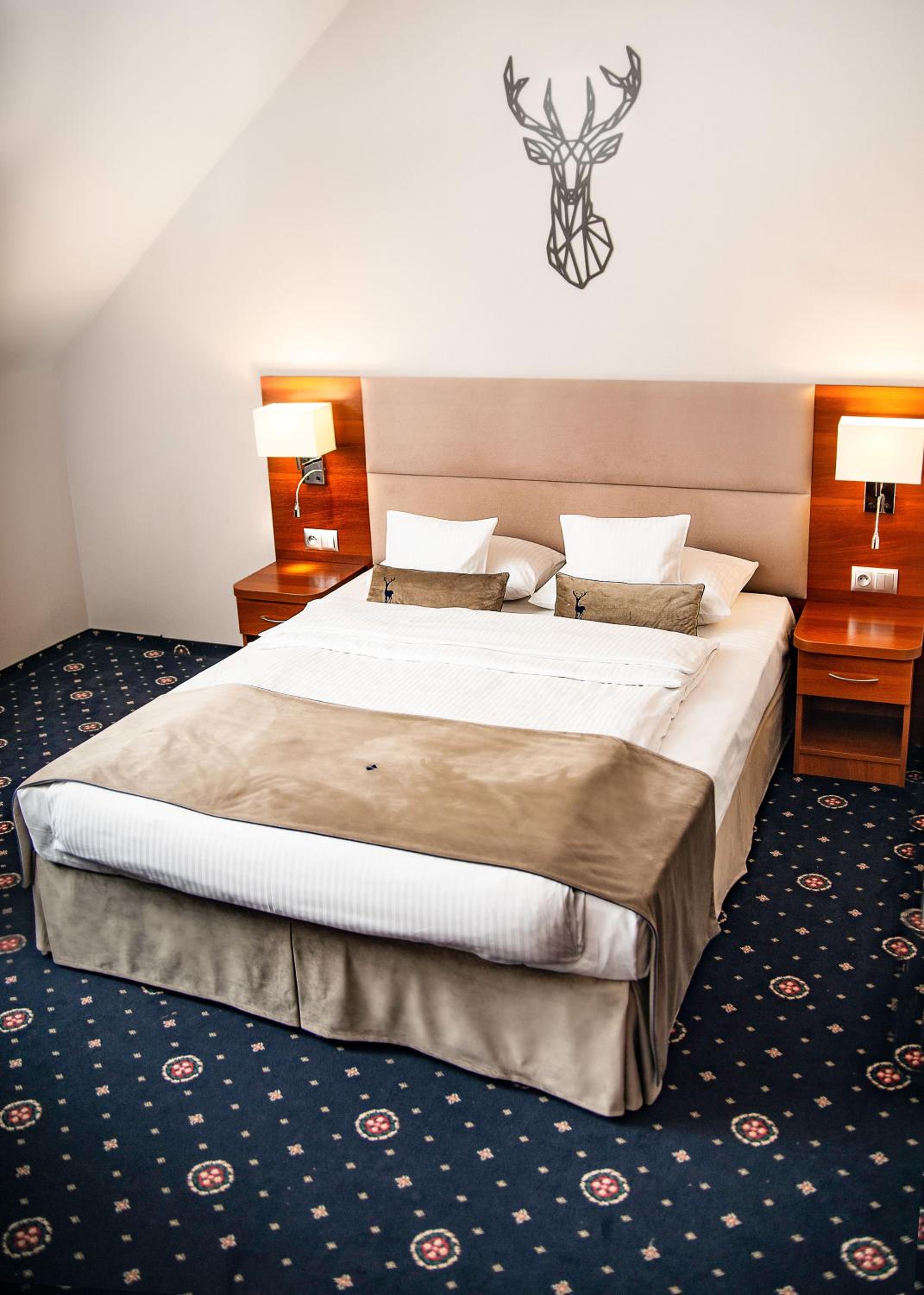 Junior Suite photo 1