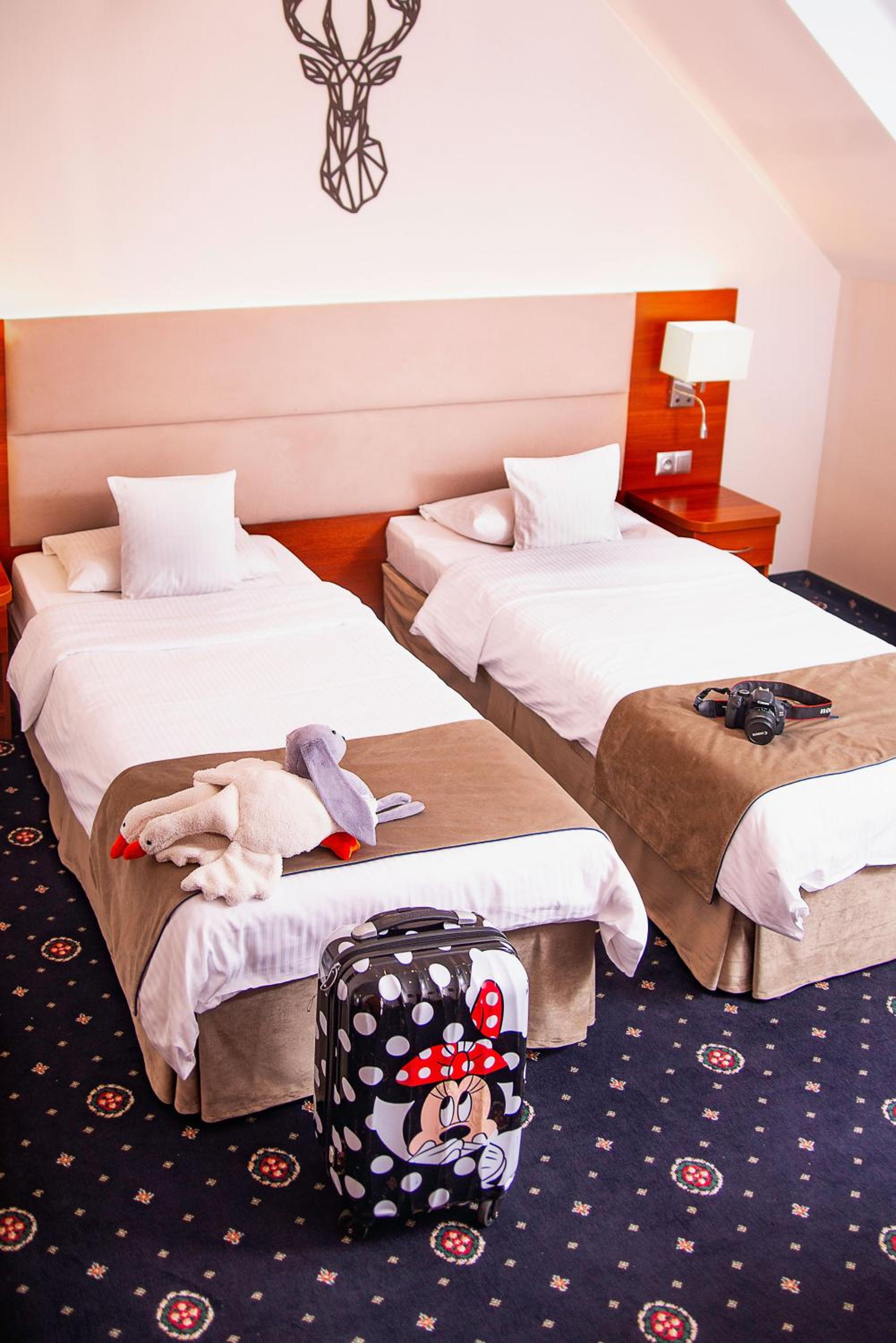 Standard Double or Twin Room photo 3