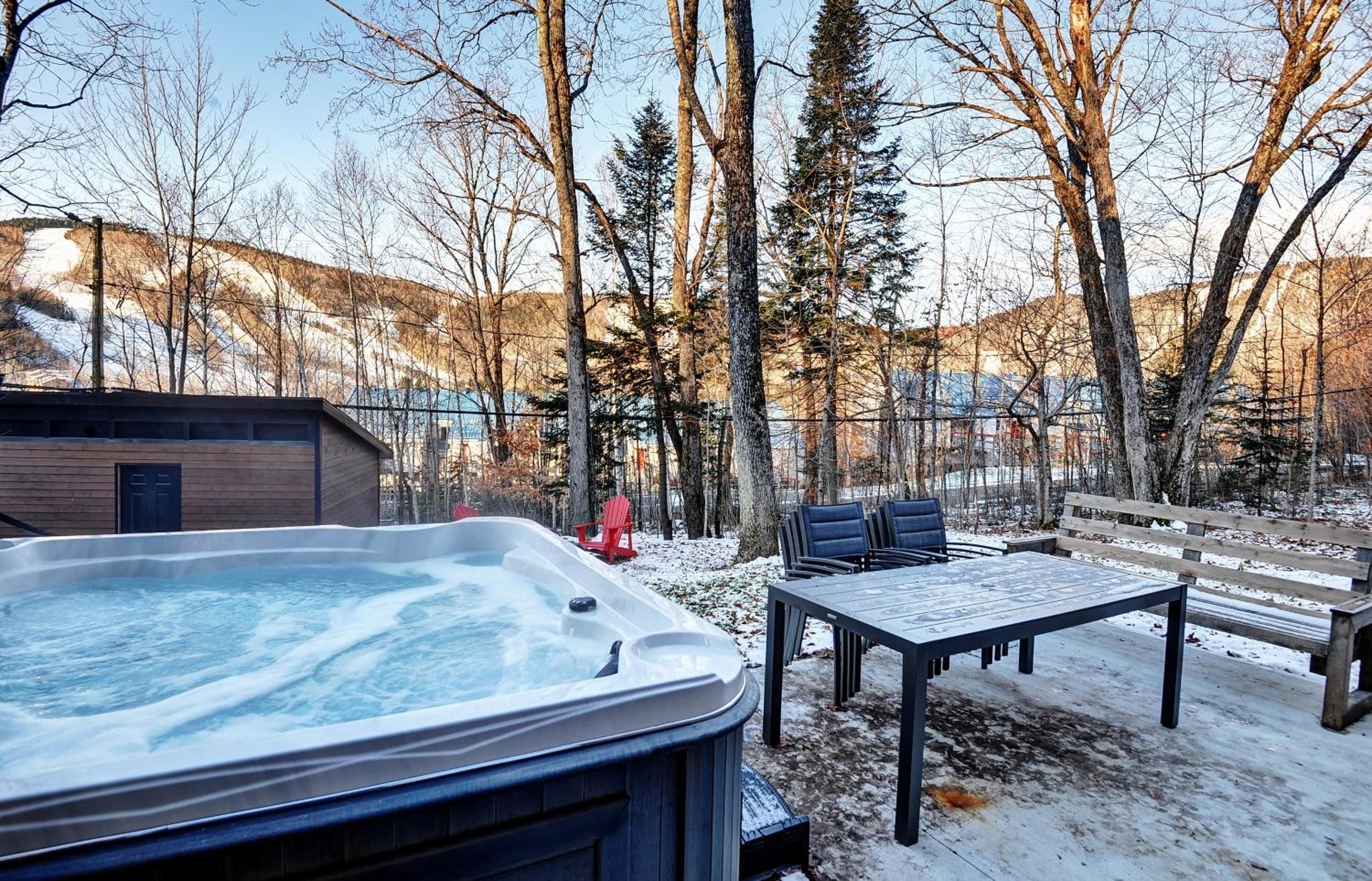 Three-Bedroom Chalet photo 2