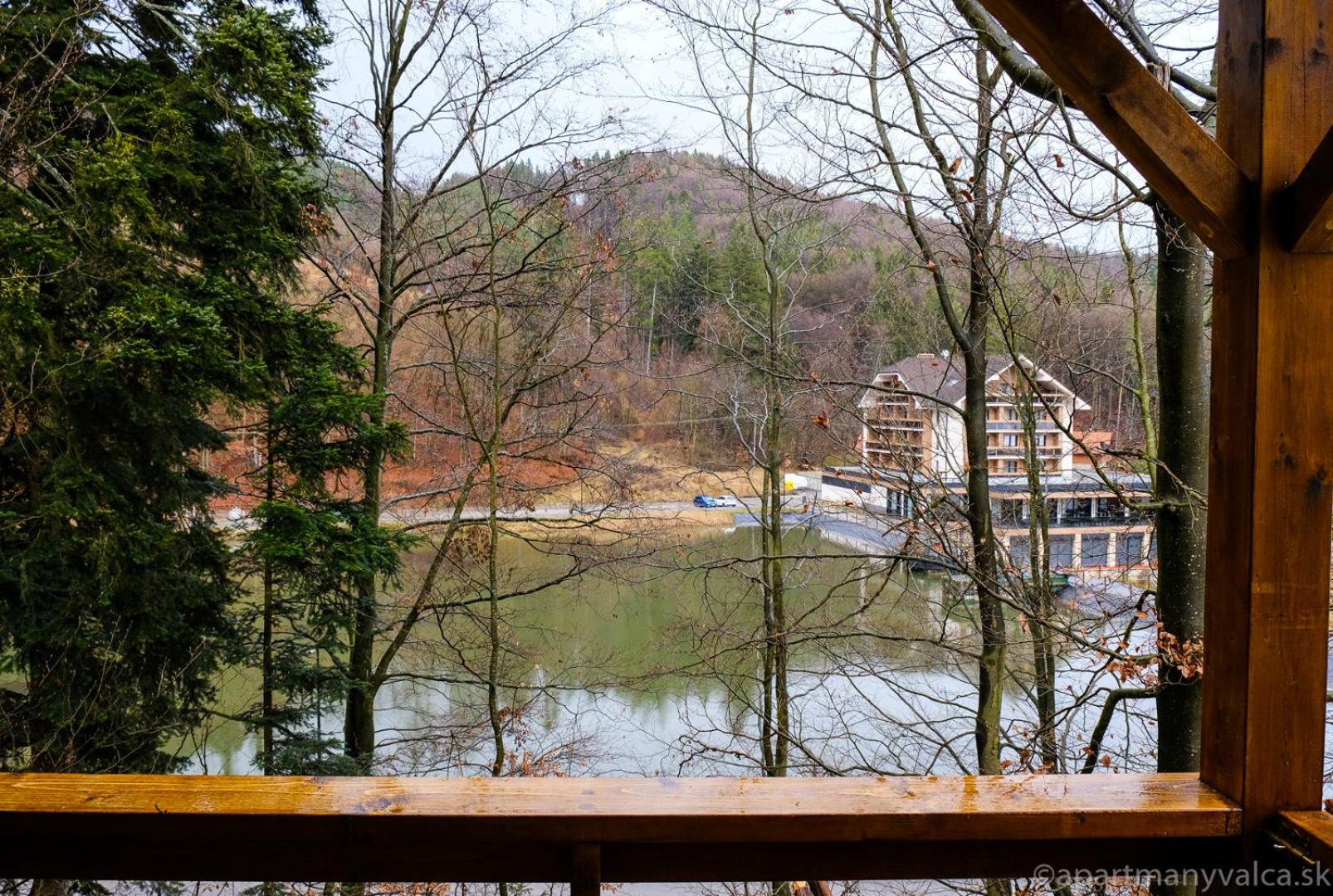 Superior One-Bedroom Apartment with Balcony photo 3