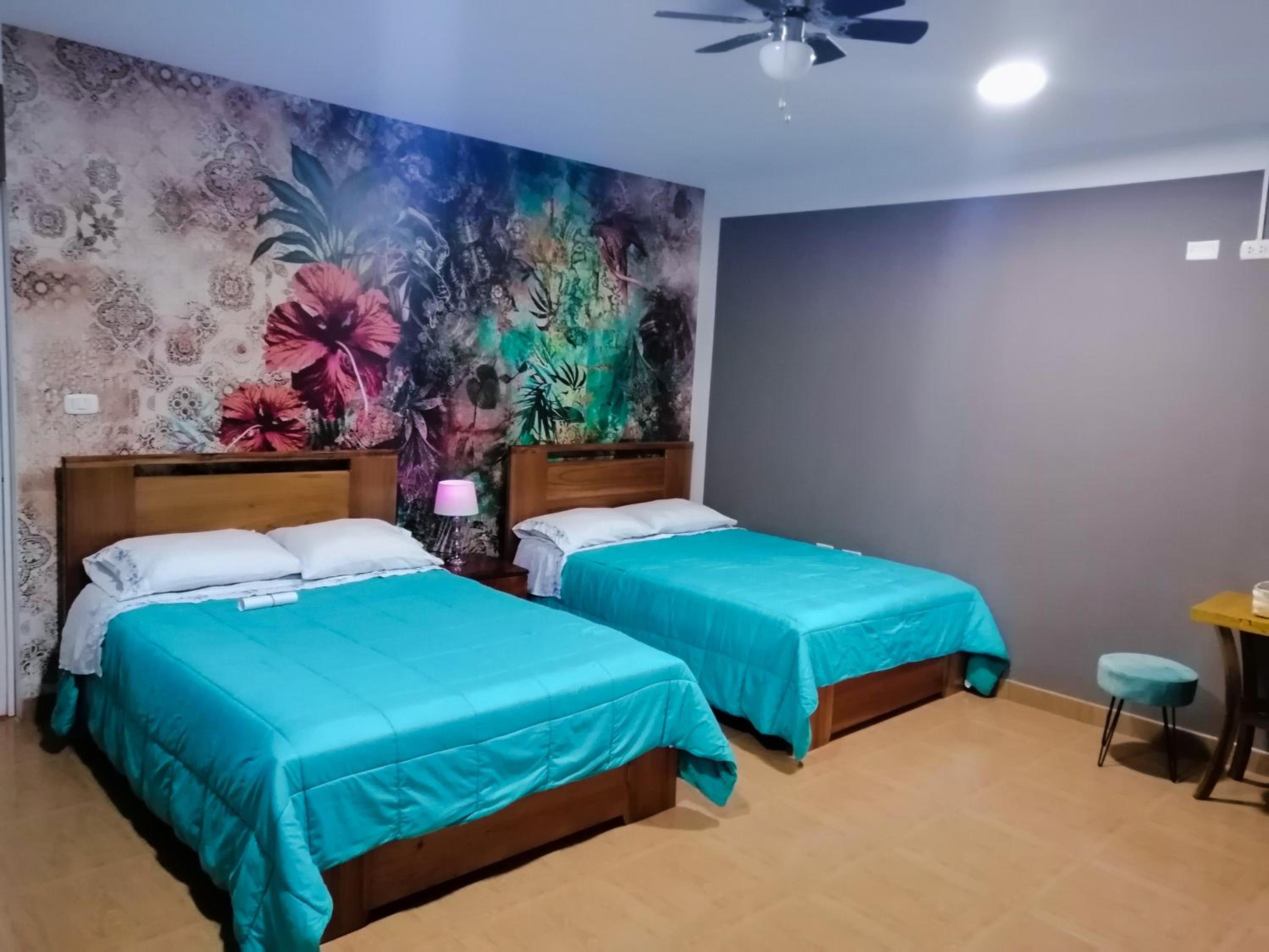 Twin Room photo 2