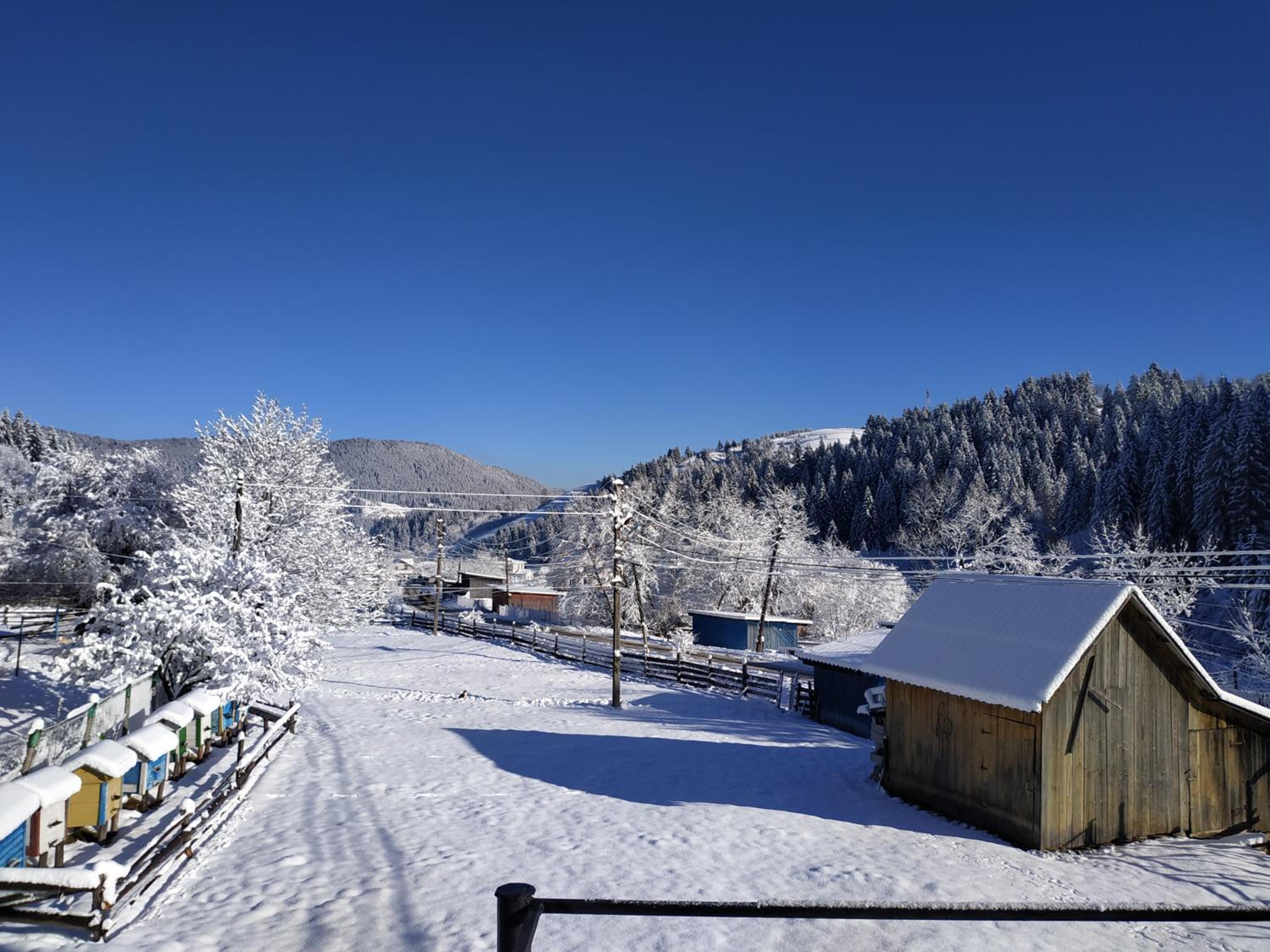 Triple Room with Mountain View photo 1