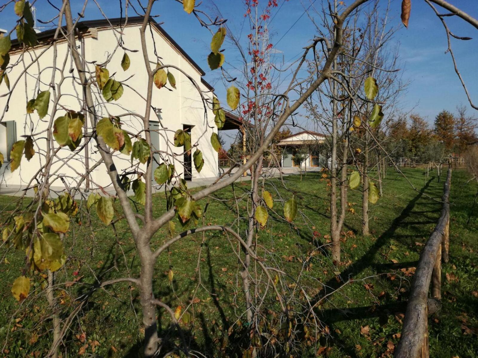 Holiday Home - Annex photo 3