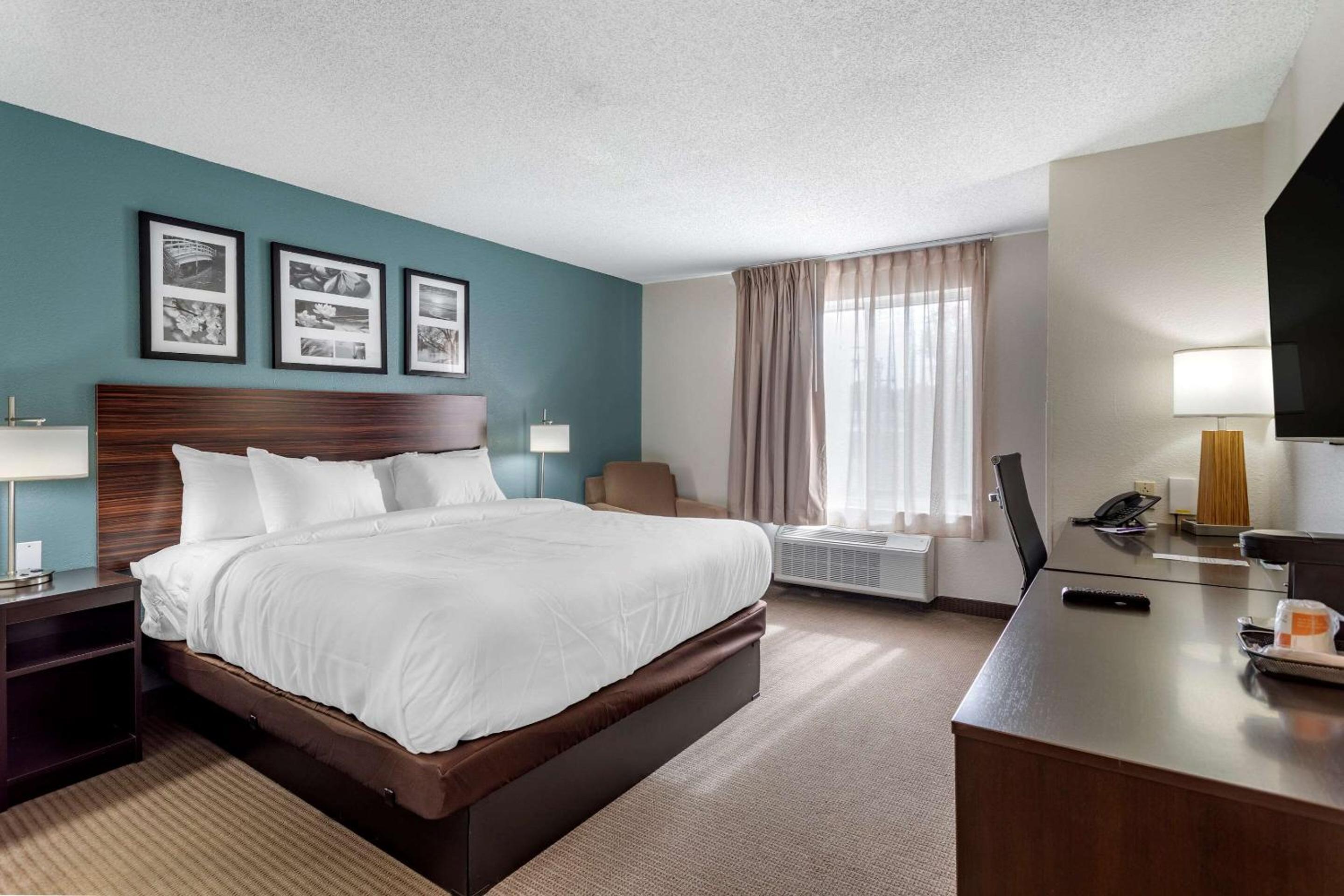 Efficiency King Room - Non-Smoking/Pet Friendly  - Photo 1