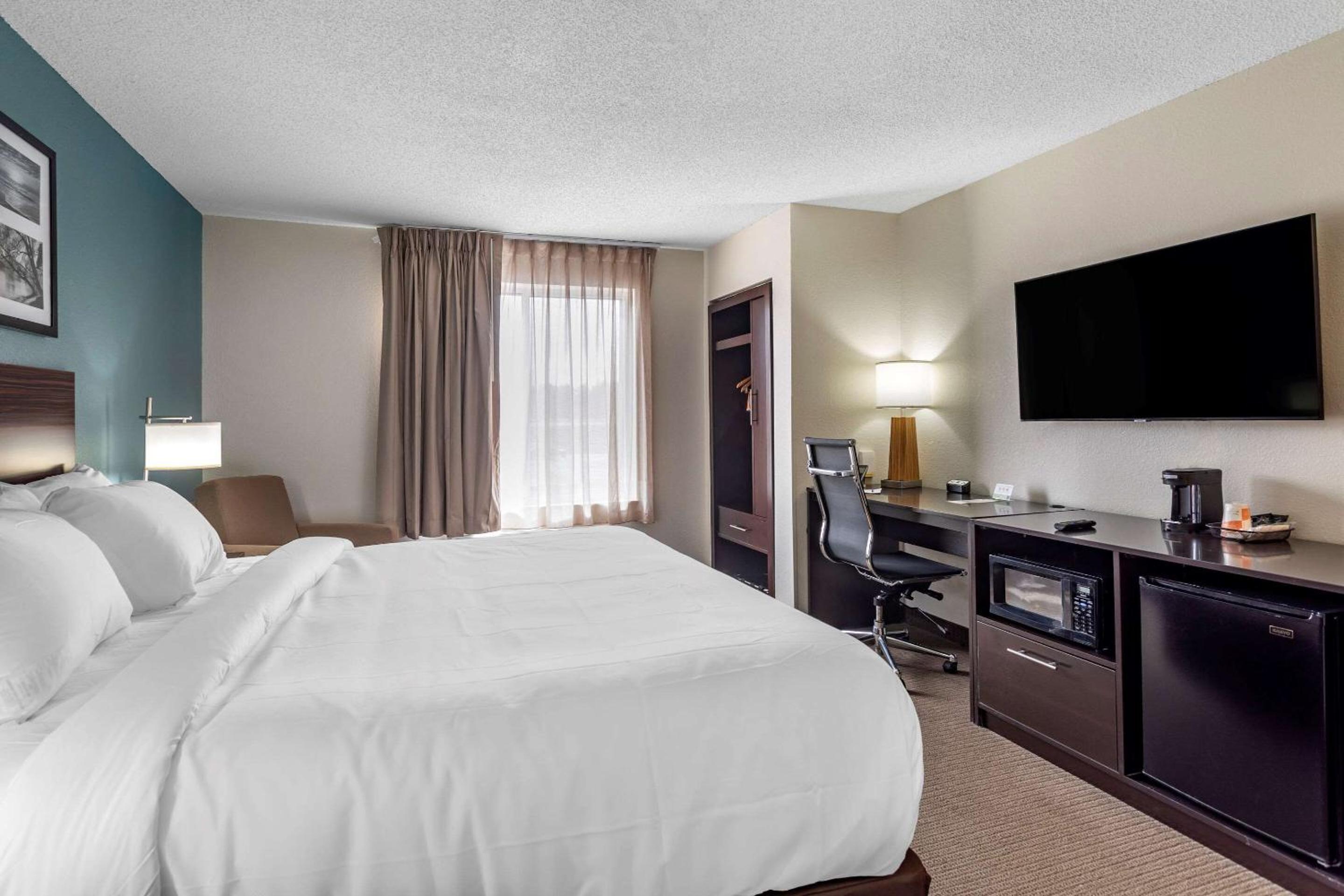 Efficiency King Room - Non-Smoking/Pet Friendly  - Photo 3