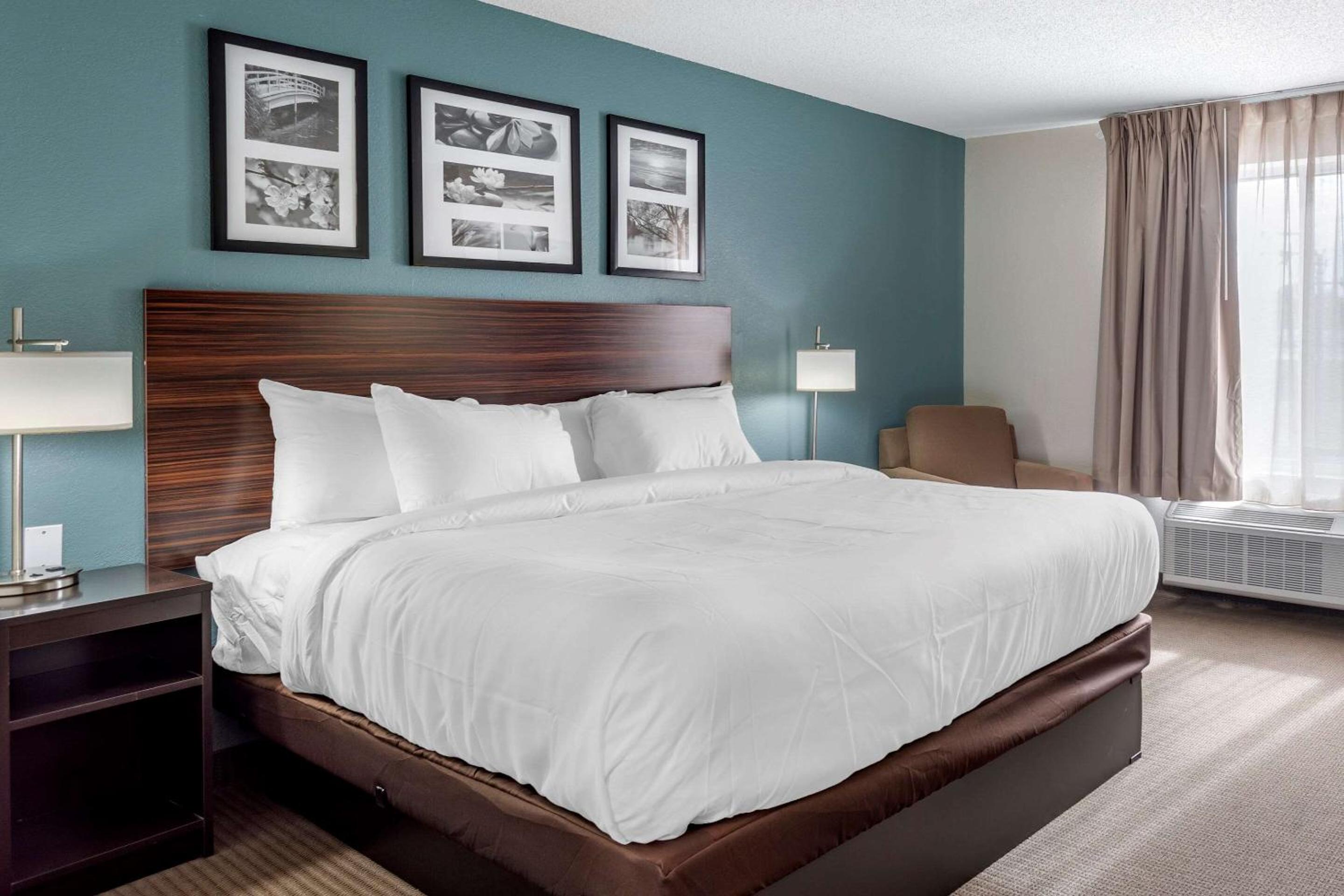 Efficiency King Room - Non-Smoking/Pet Friendly  - Photo 4
