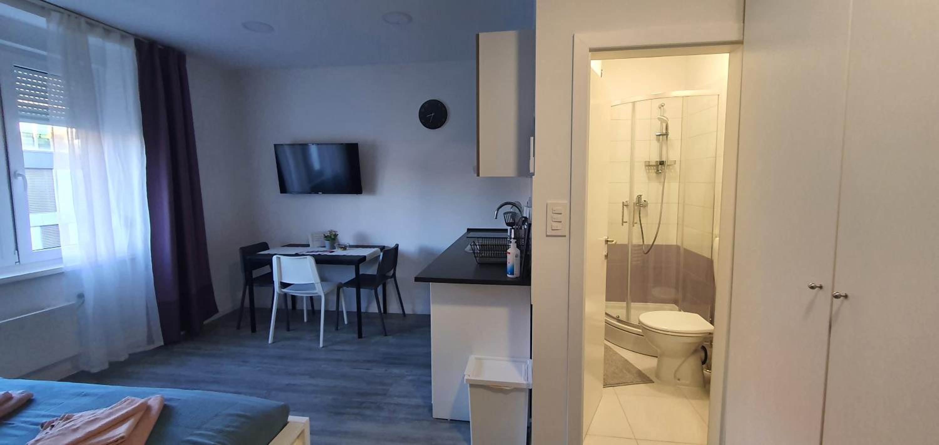 One-Bedroom Apartment - Photo 18