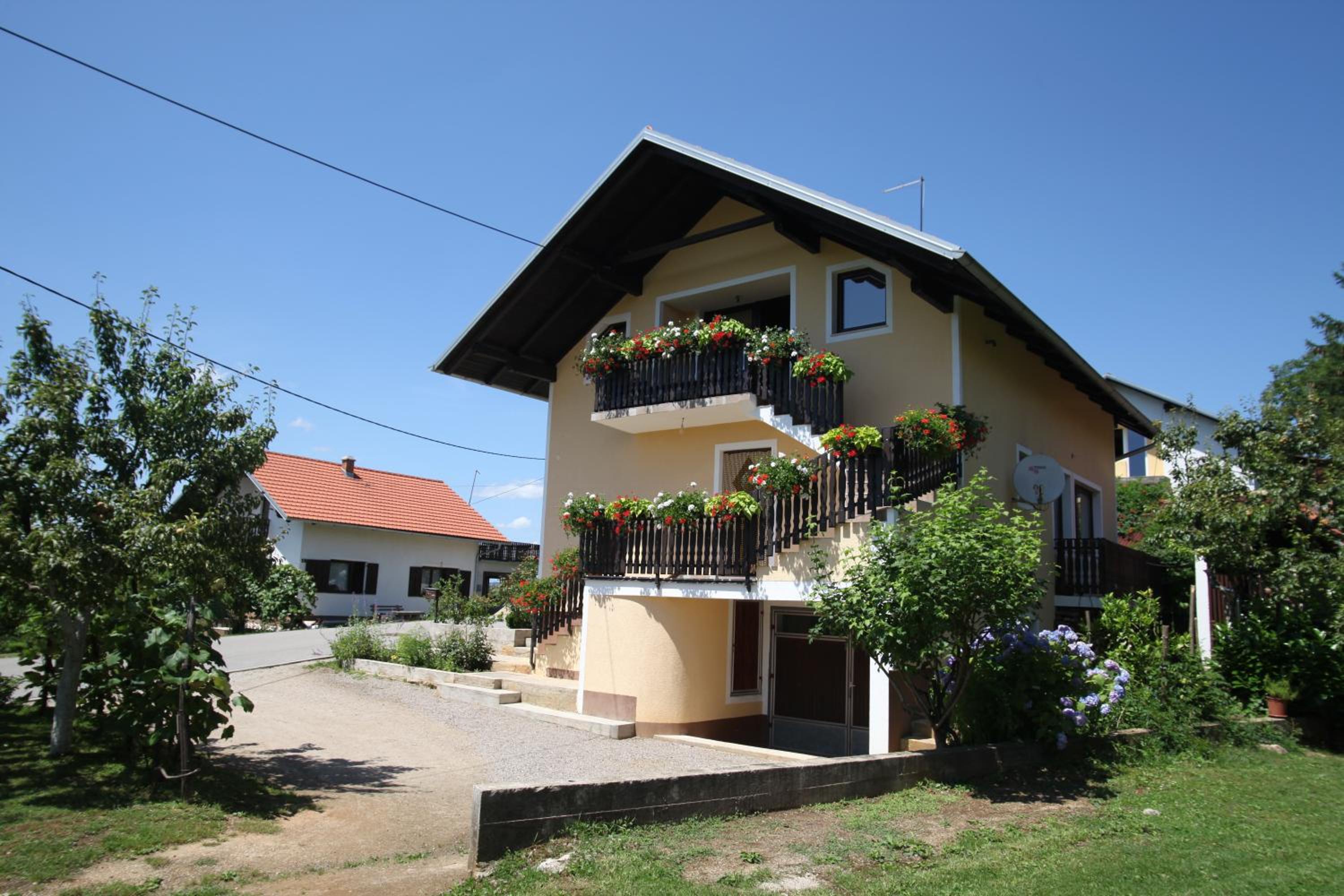 Apartment with Terrace photo 2