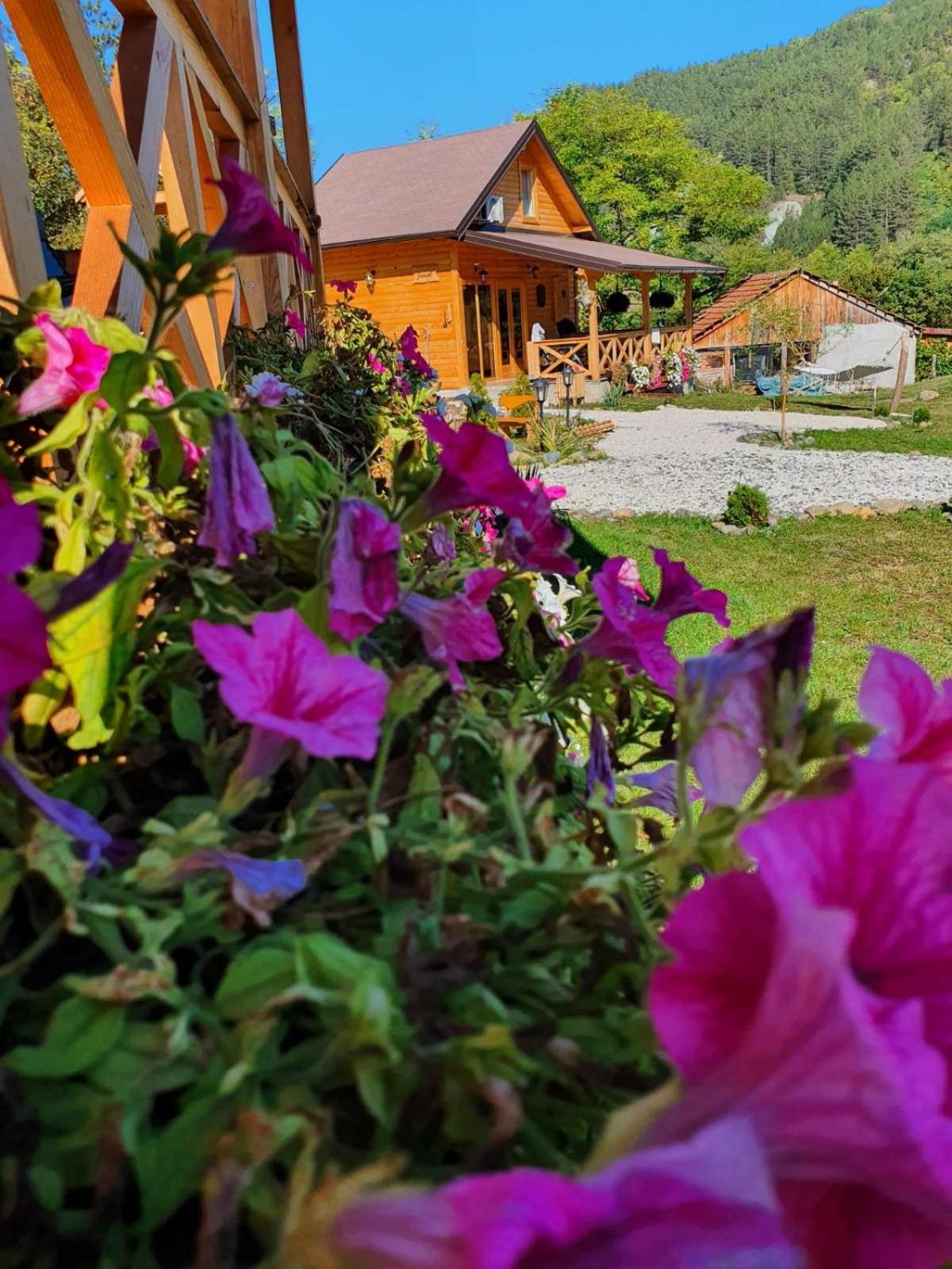 Vacation Home photo 2