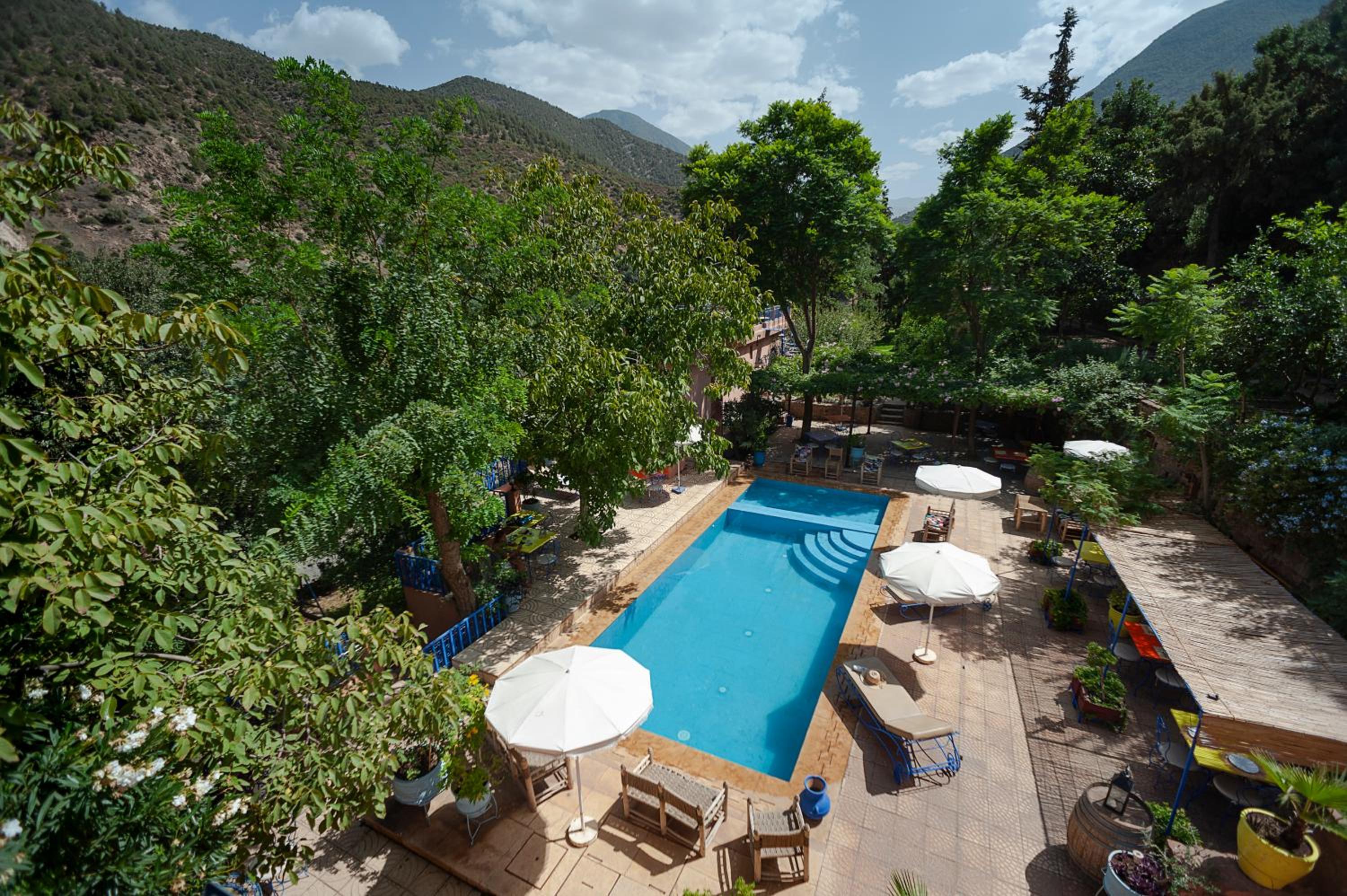Suite with Terrace photo 3