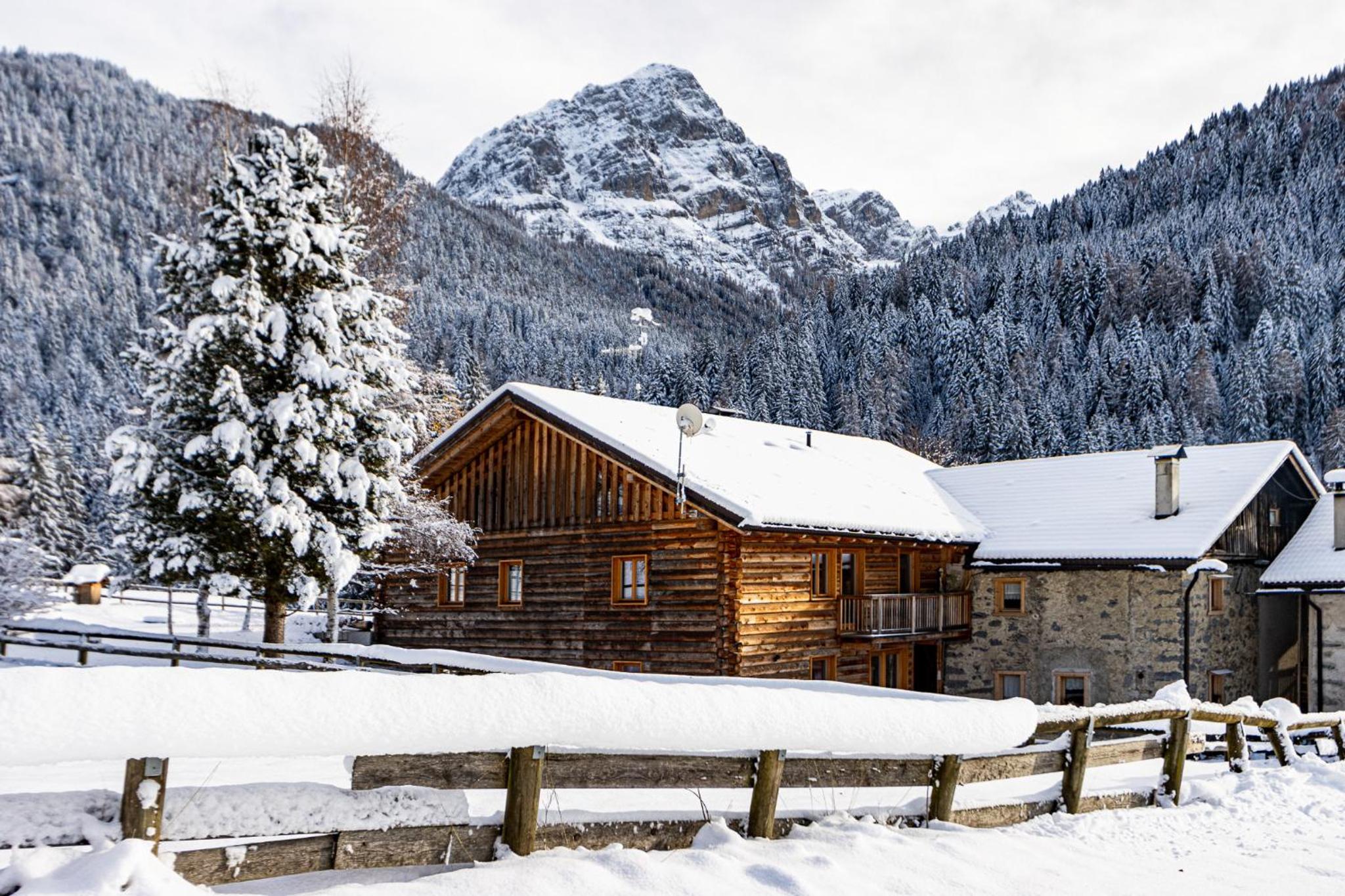 Three-Bedroom Chalet photo 2