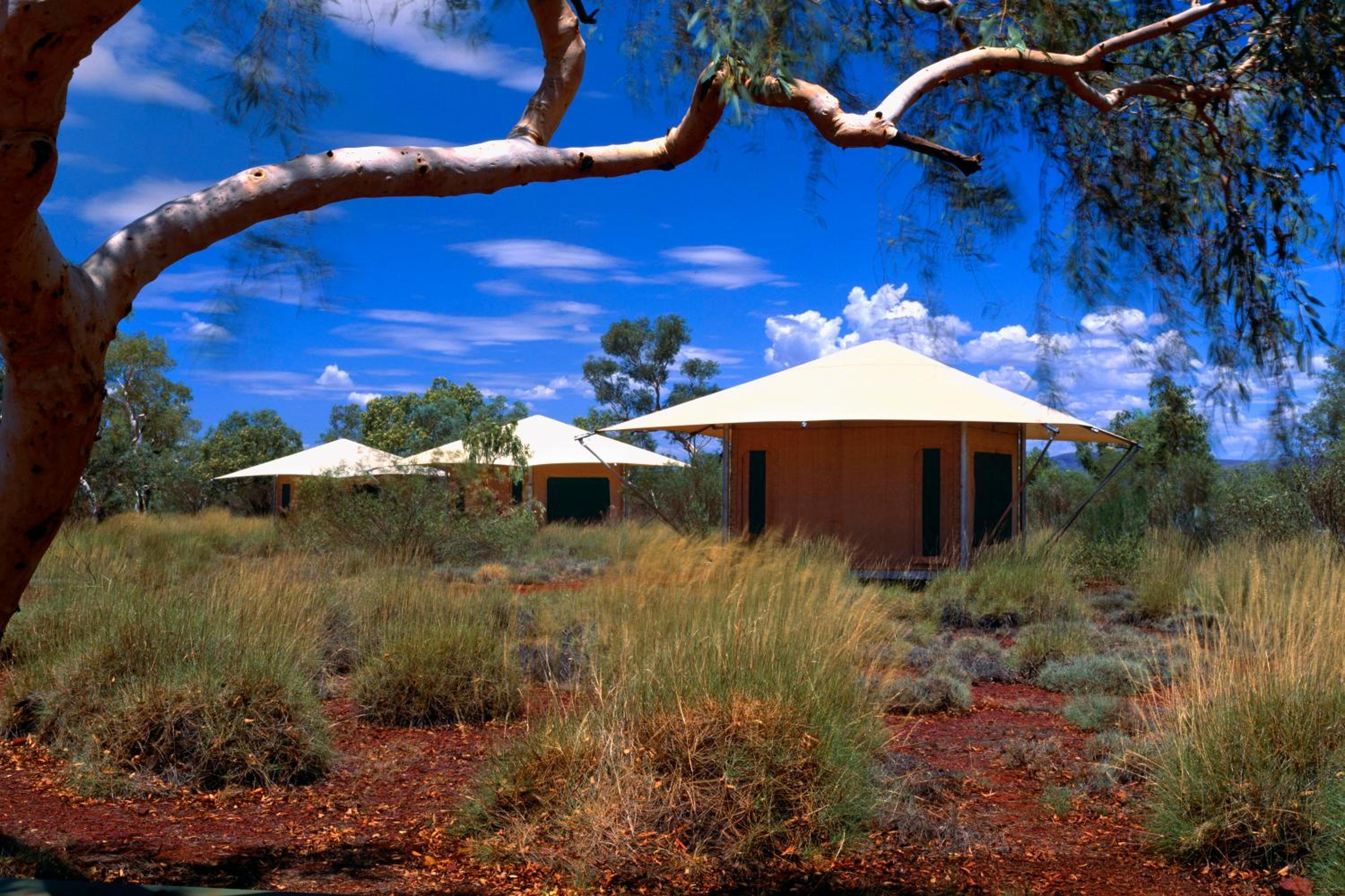 Deluxe Eco King Tent  - Photo 2