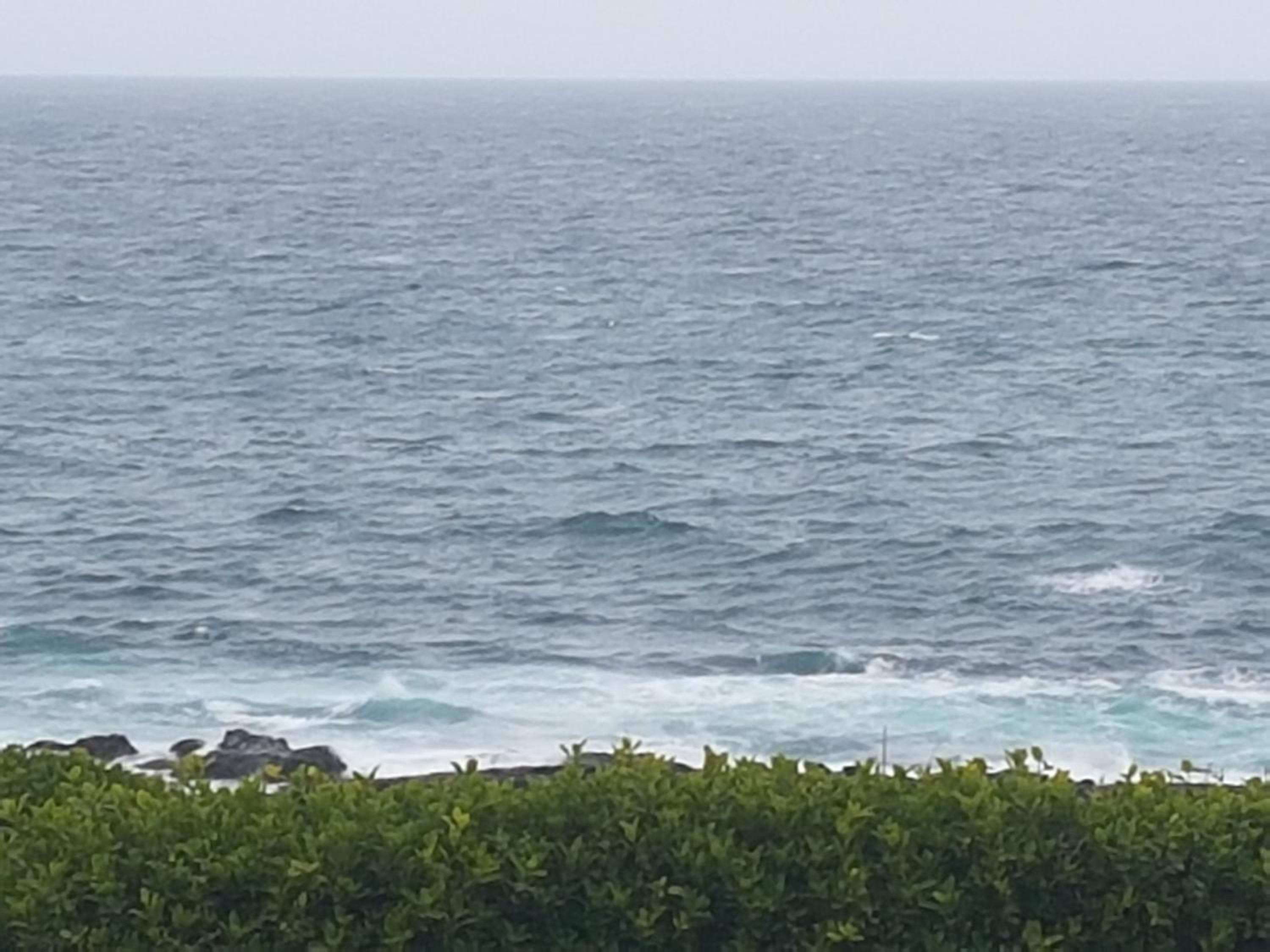 Apartment with Sea View - Photo 4
