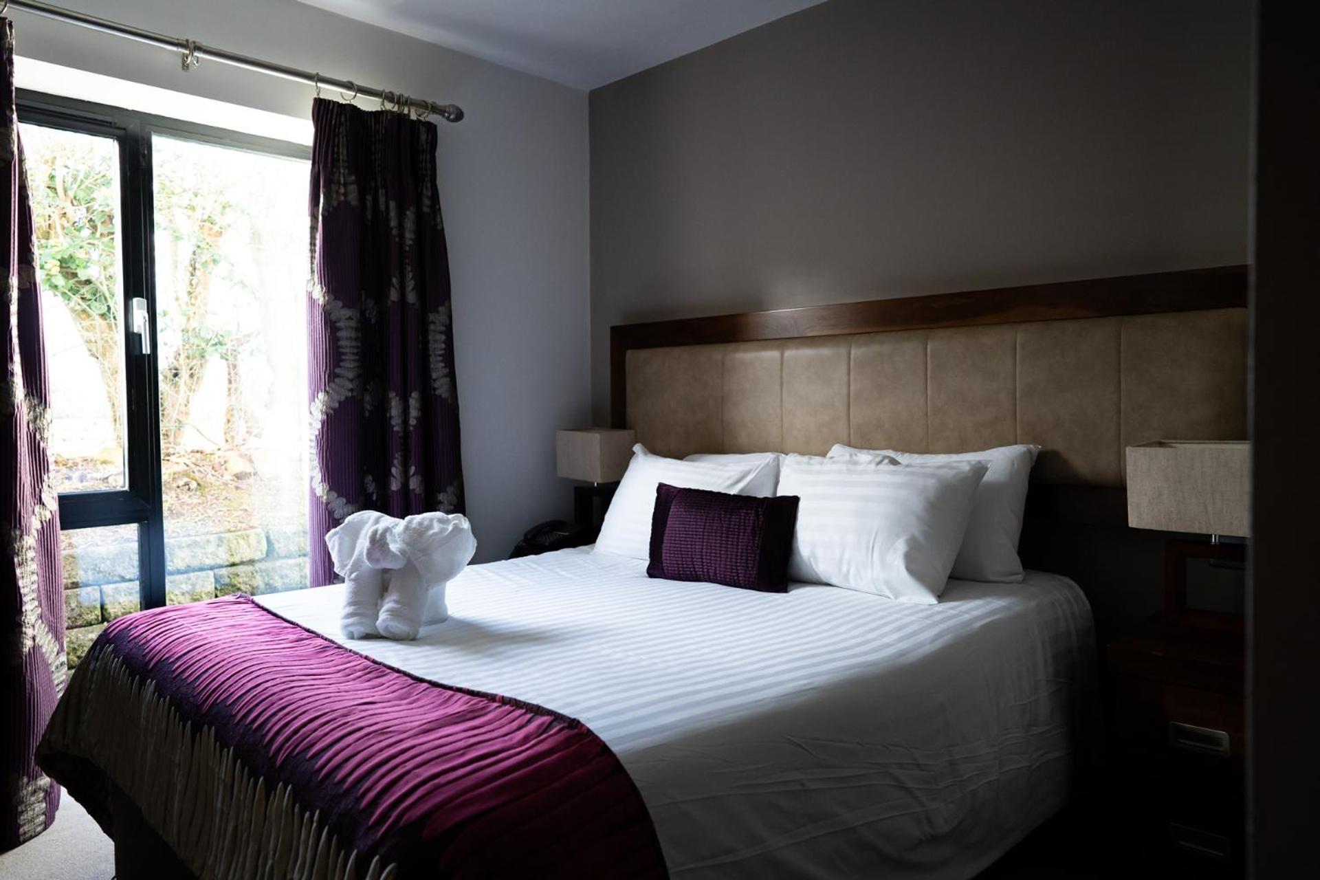 King Room - Photo 4