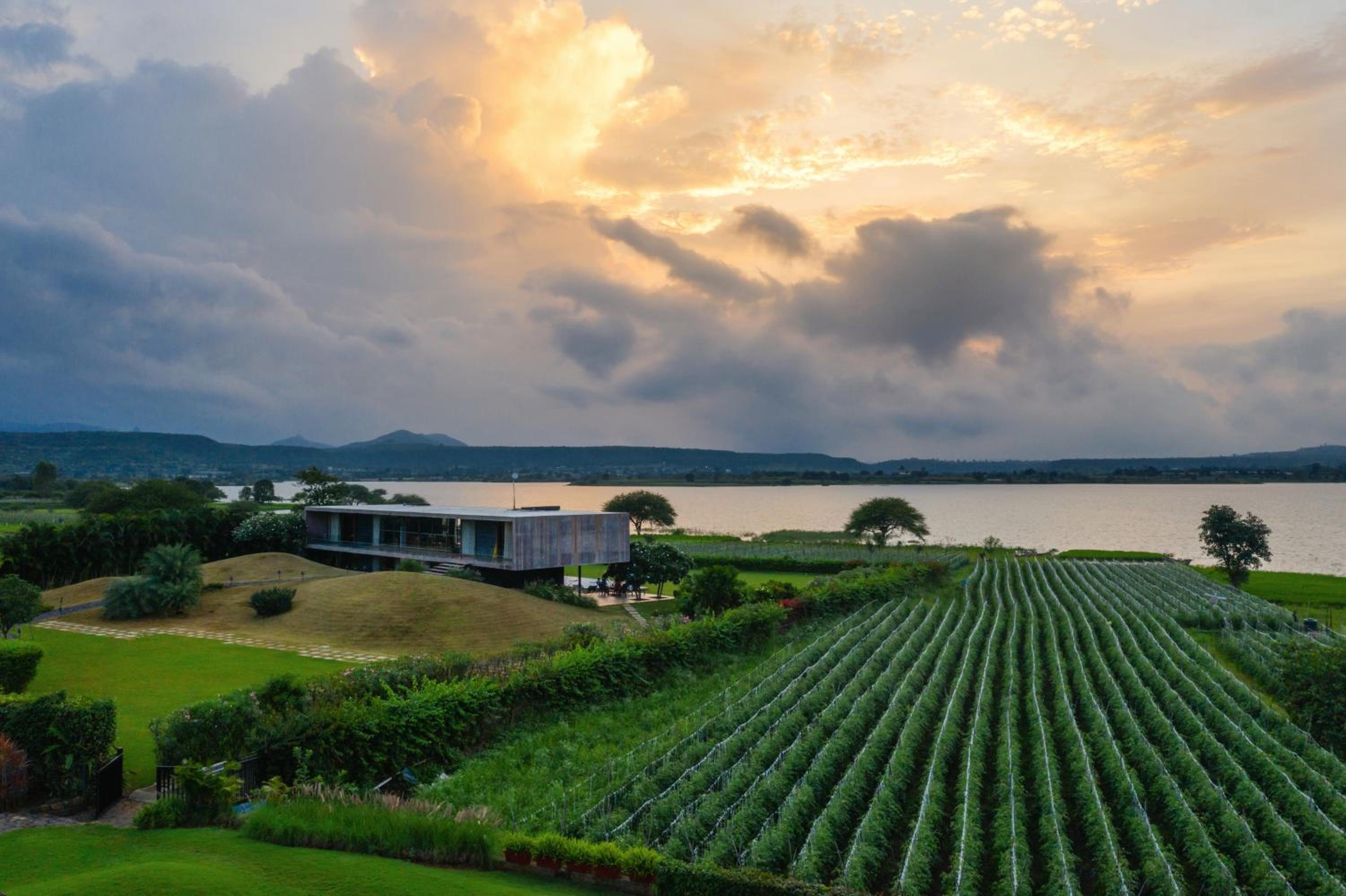 Sky Villa with Private Pool with Wine tour & Tasting experience at Sula Vineyards, 10% discount on spa & Complimentary welcome drinks on arrival photo 3