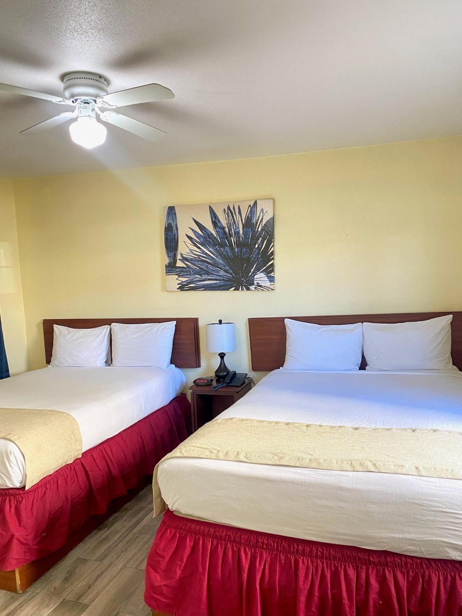Deluxe Queen Room photo 2
