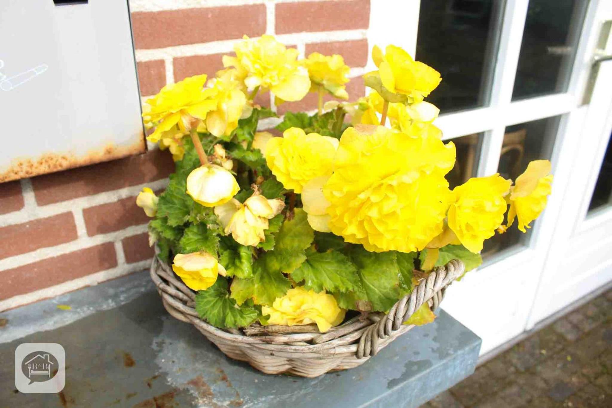 Vacation Home - Photo 48