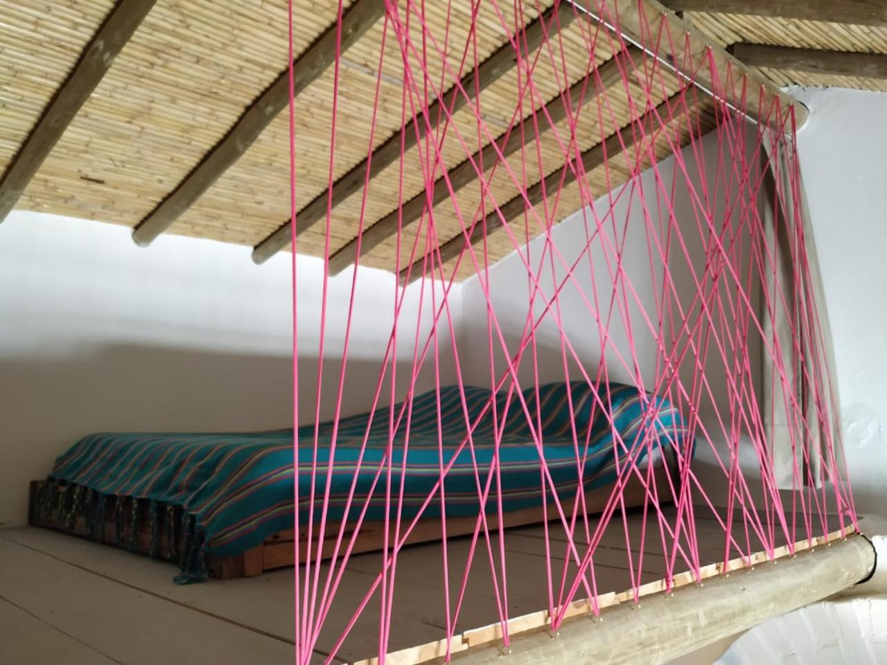 Single Bed In Mixed Dormitory Room
