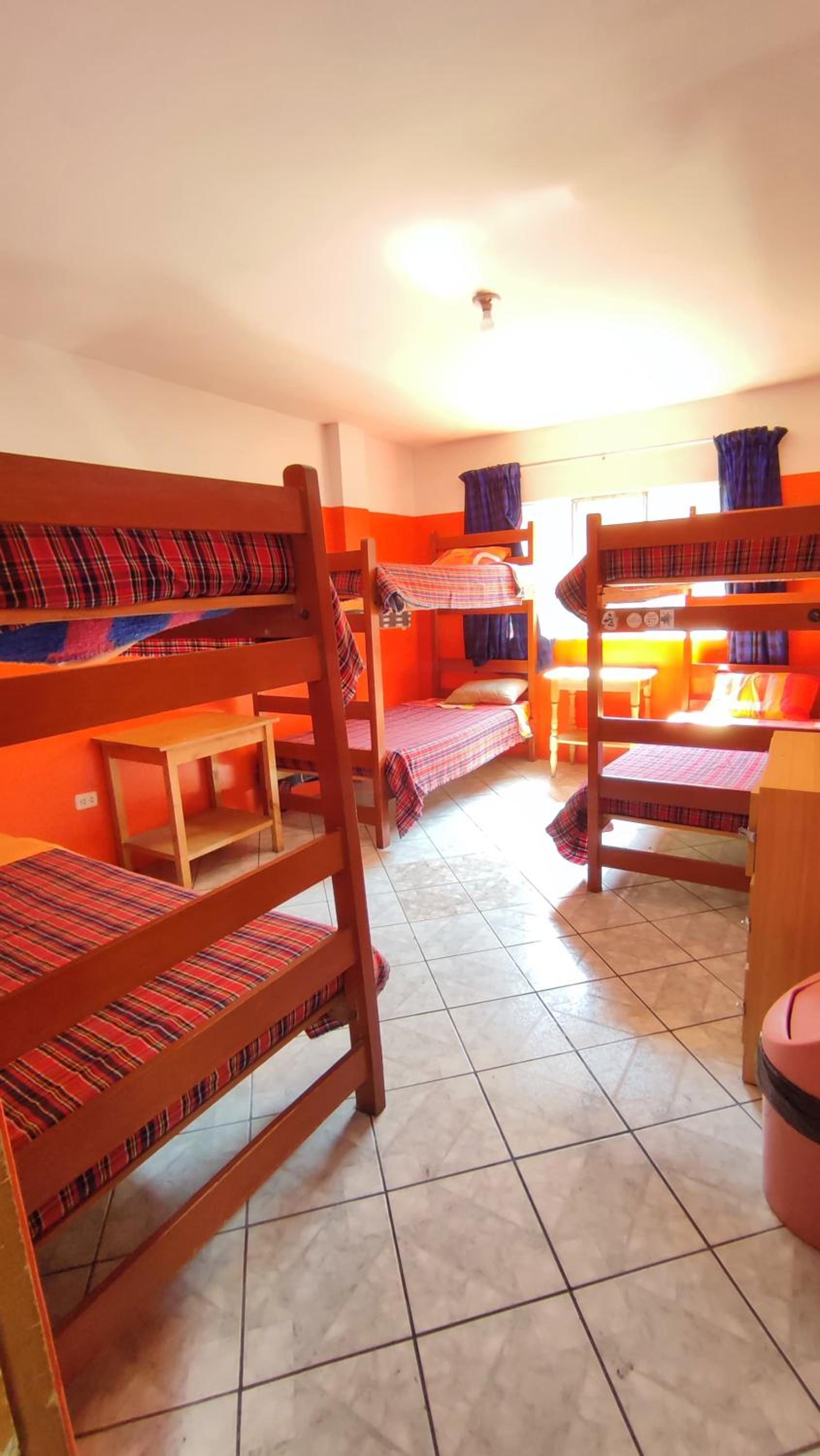 Bed in 6-Bed Mixed Dormitory Room with Shared Bathroom photo 1