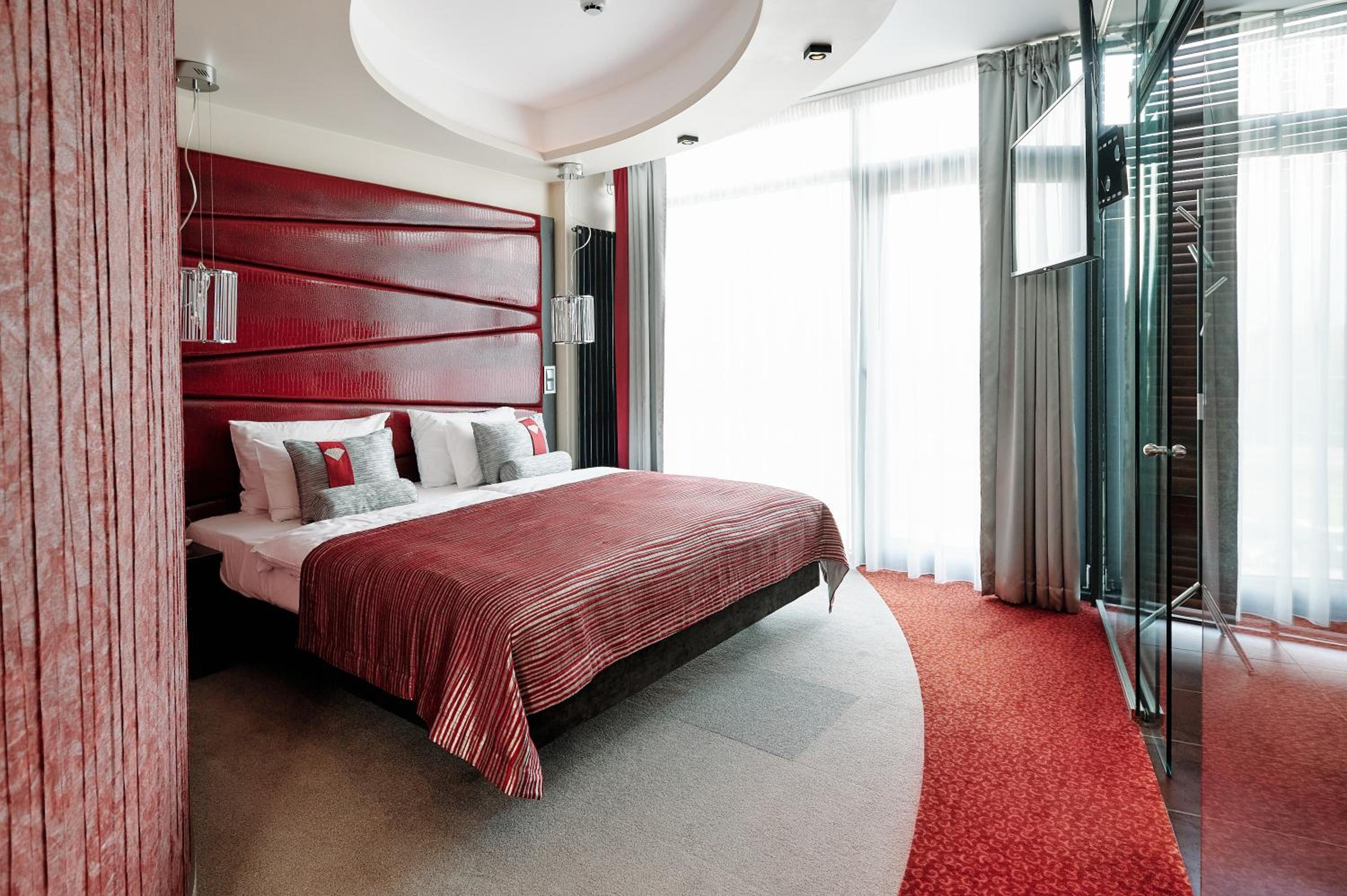 Premium Suite - Photo 9