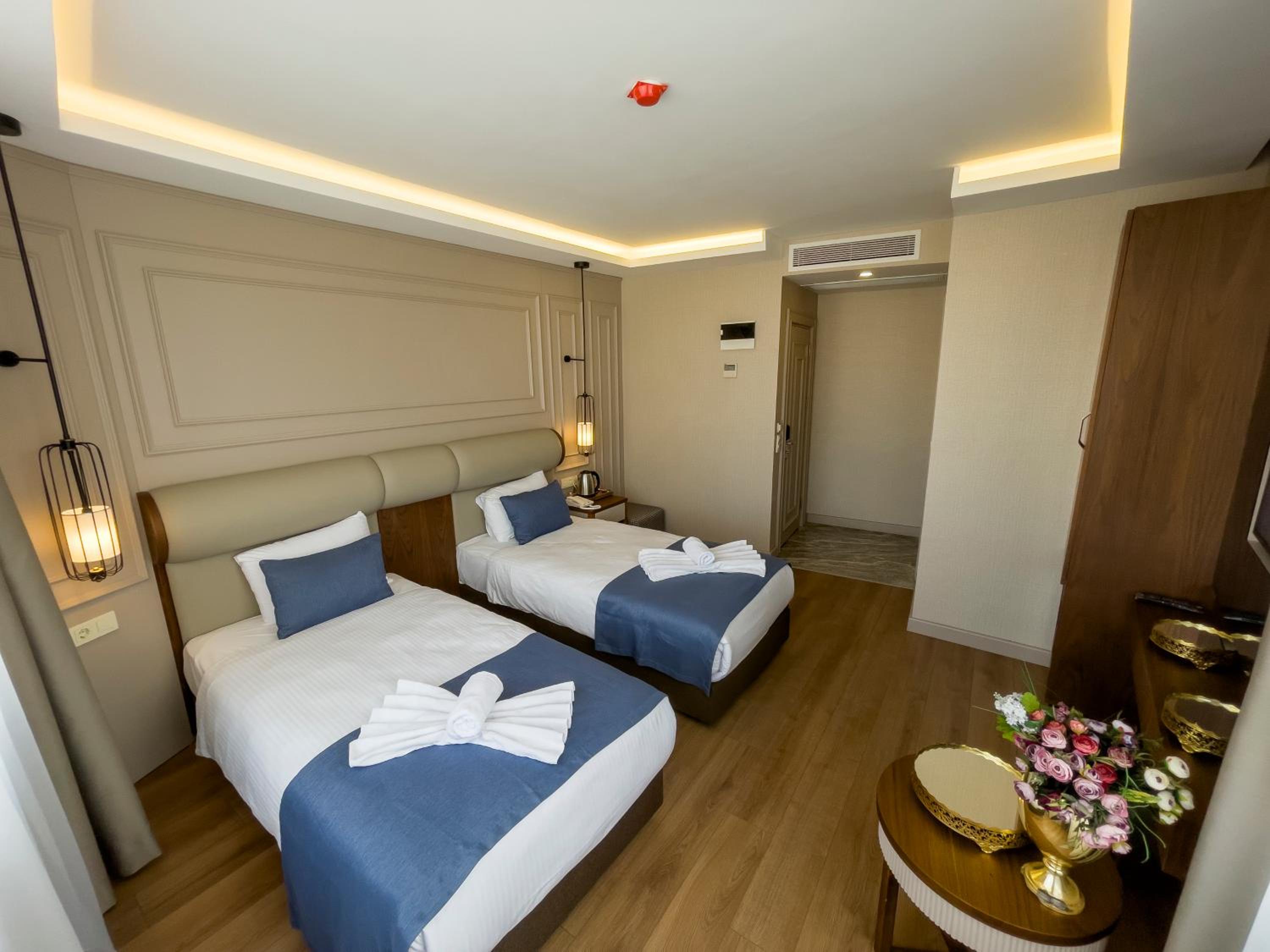 Deluxe Double or Twin Room photo 1
