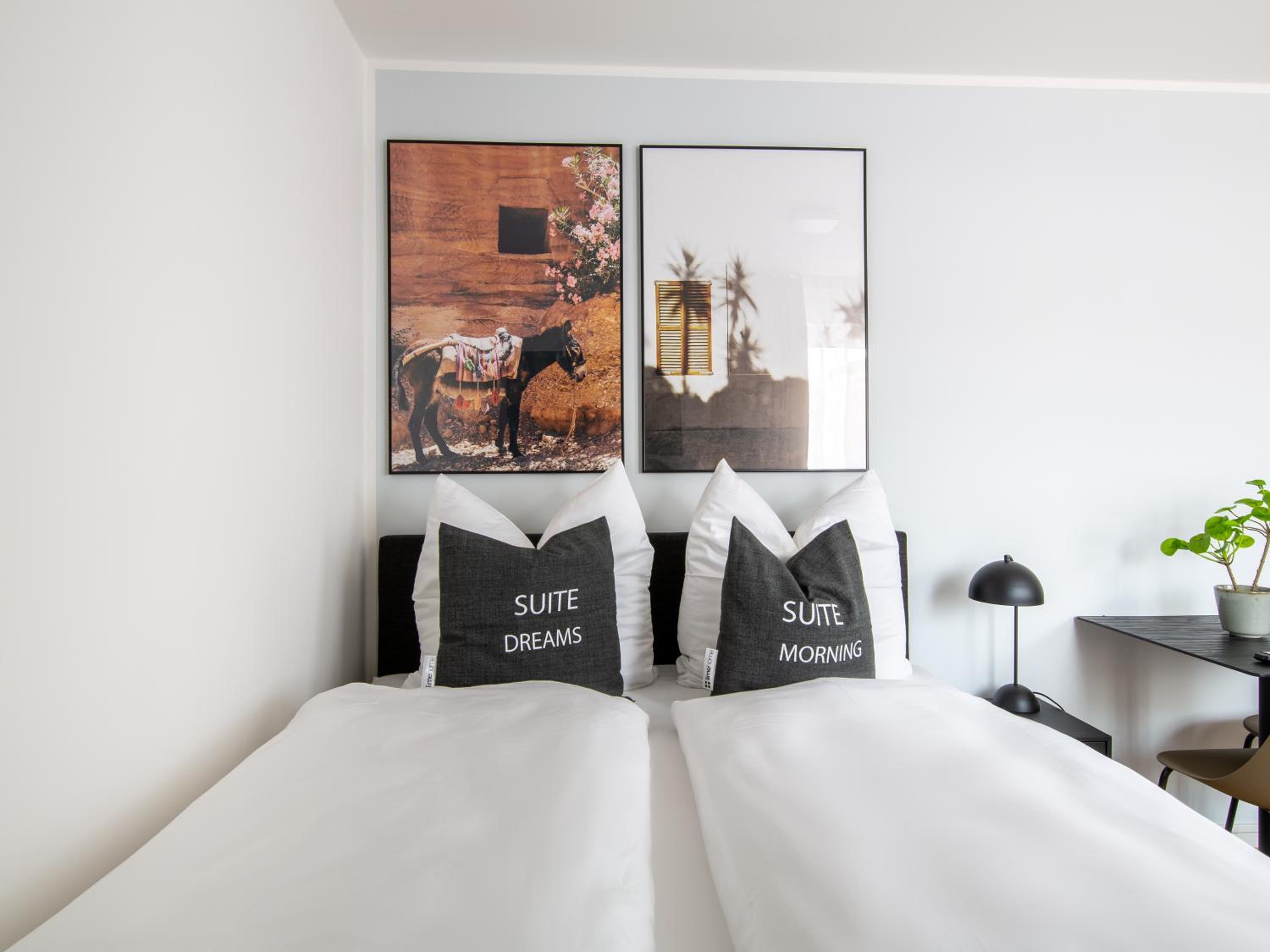 Suite - Photo 6