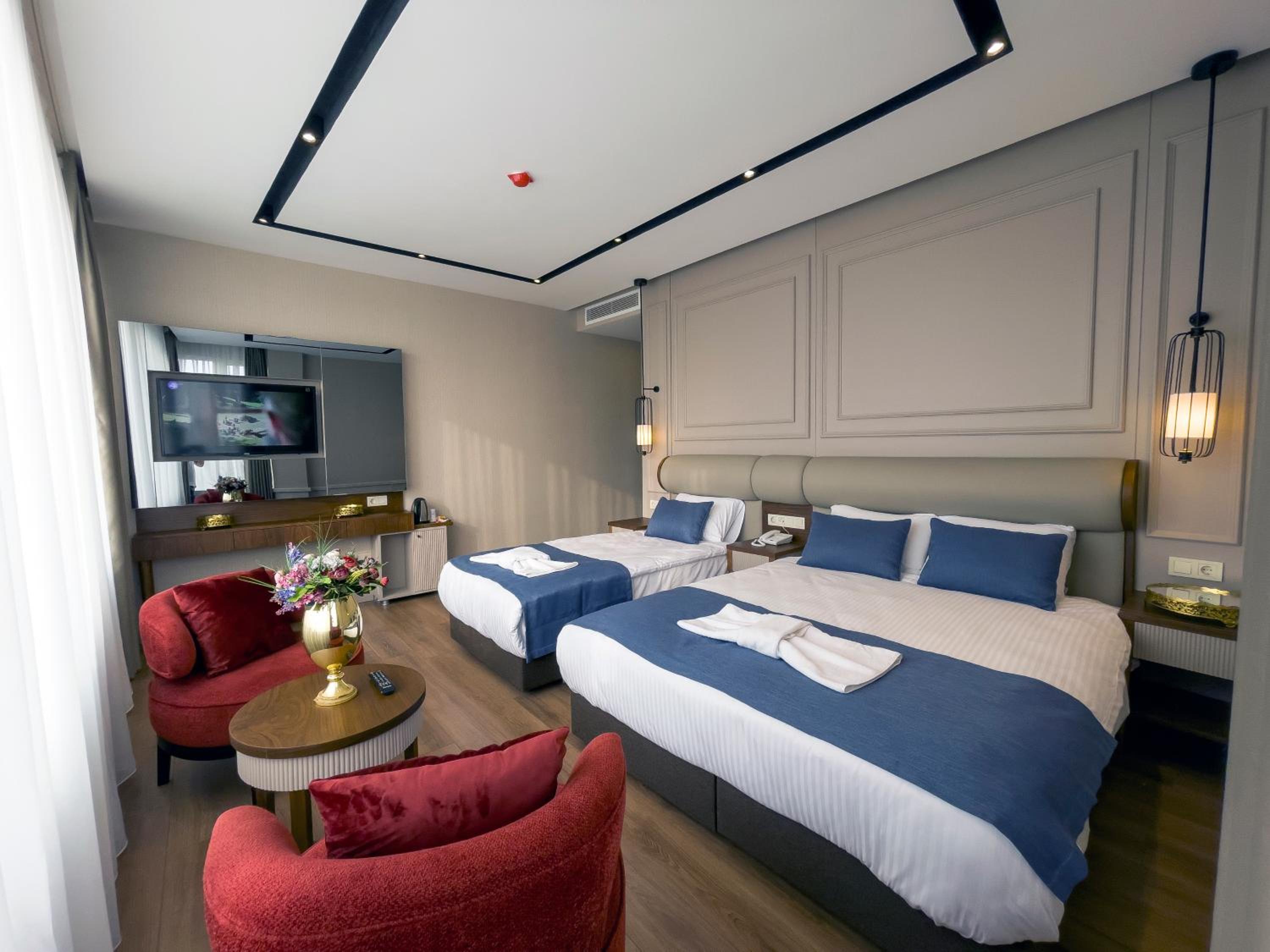 Deluxe Double or Twin Room photo 2