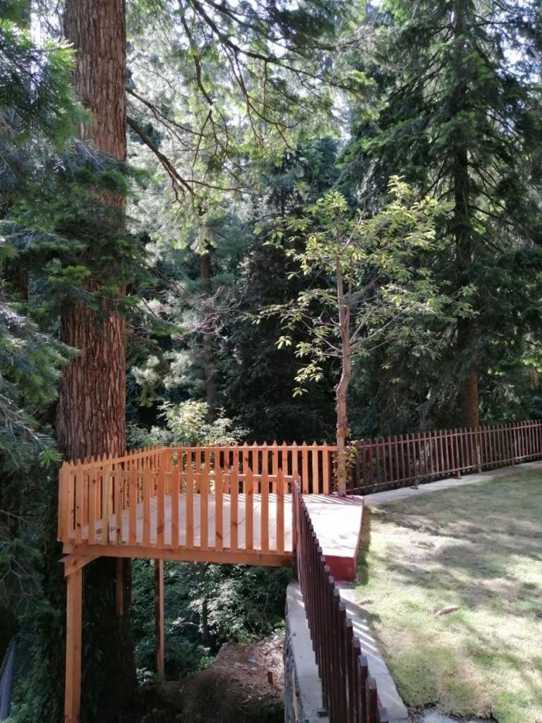 Superior Chalet