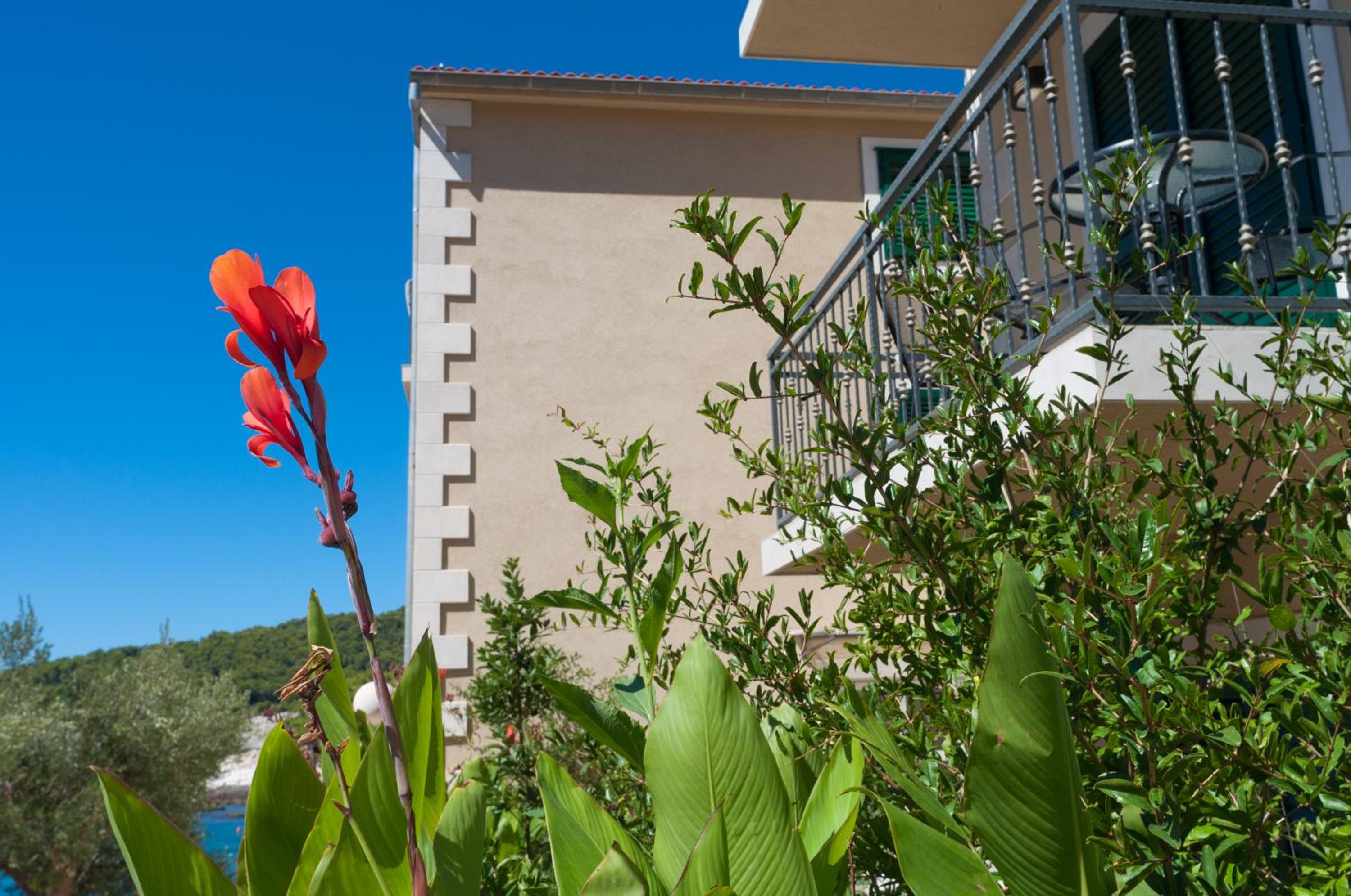 Comfort Double Room with Balcony and Garden View - Photo 3