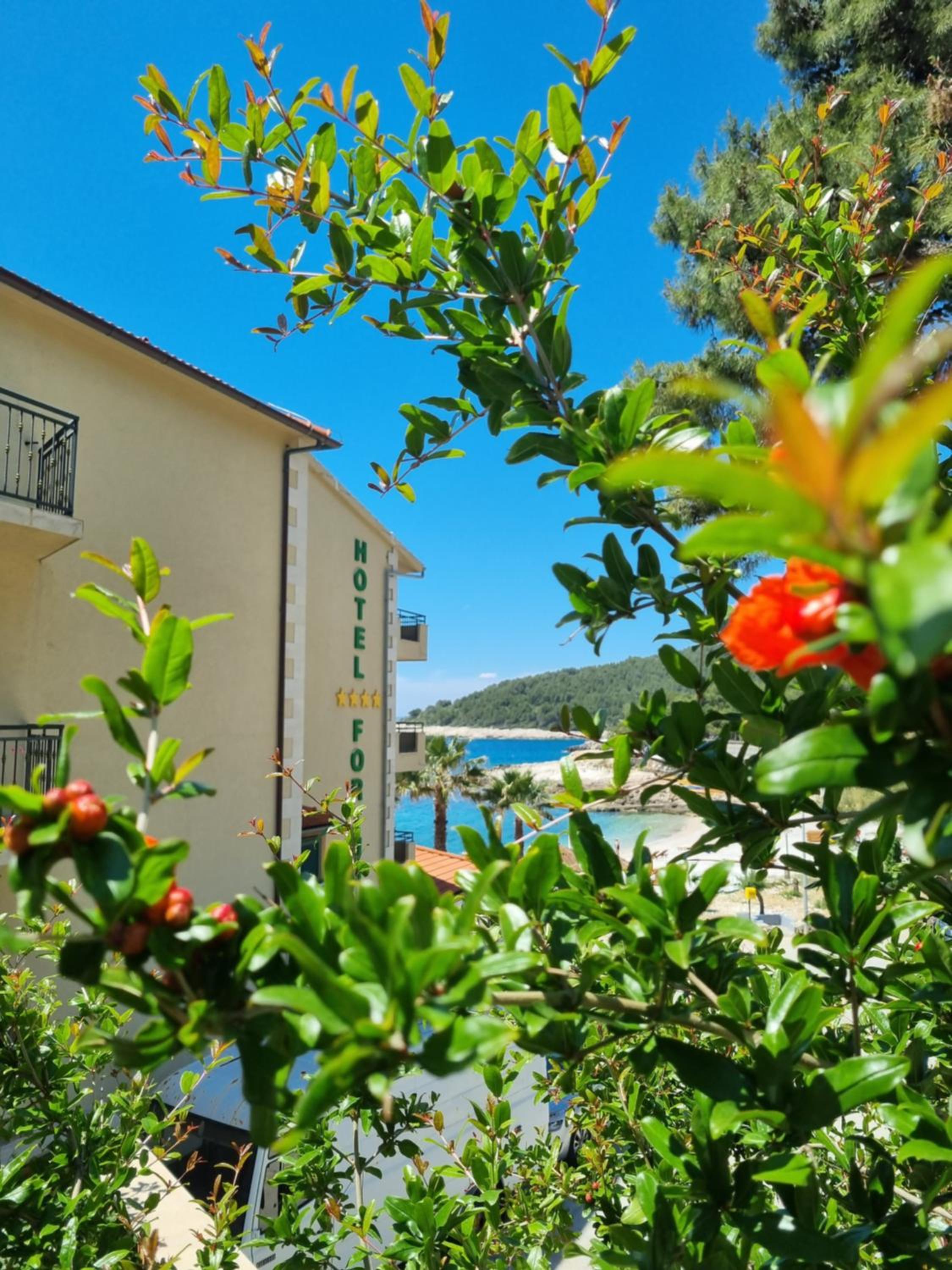 Comfort Double Room with Balcony and Garden View - Photo 5