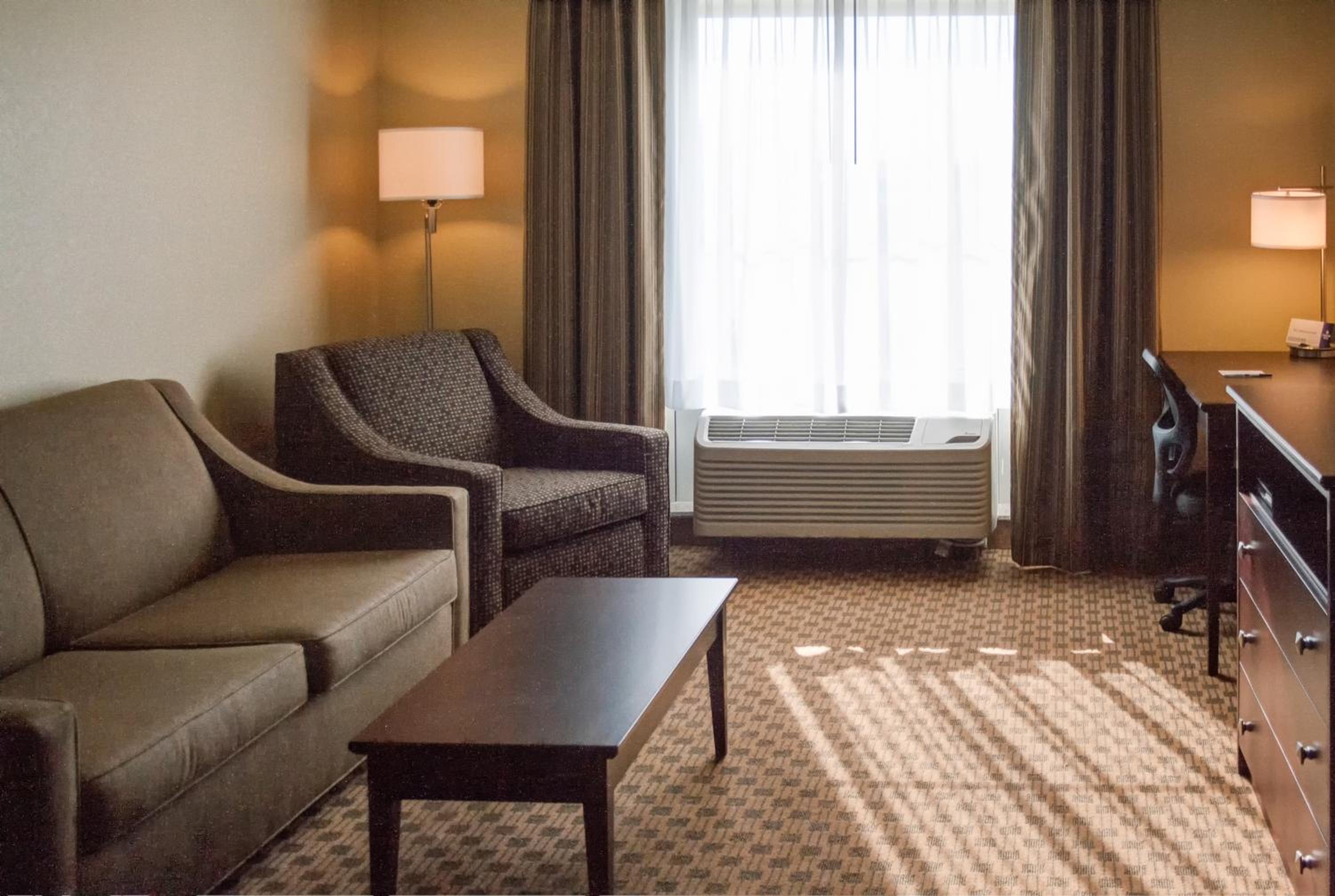 One-Bedroom Suite photo 3