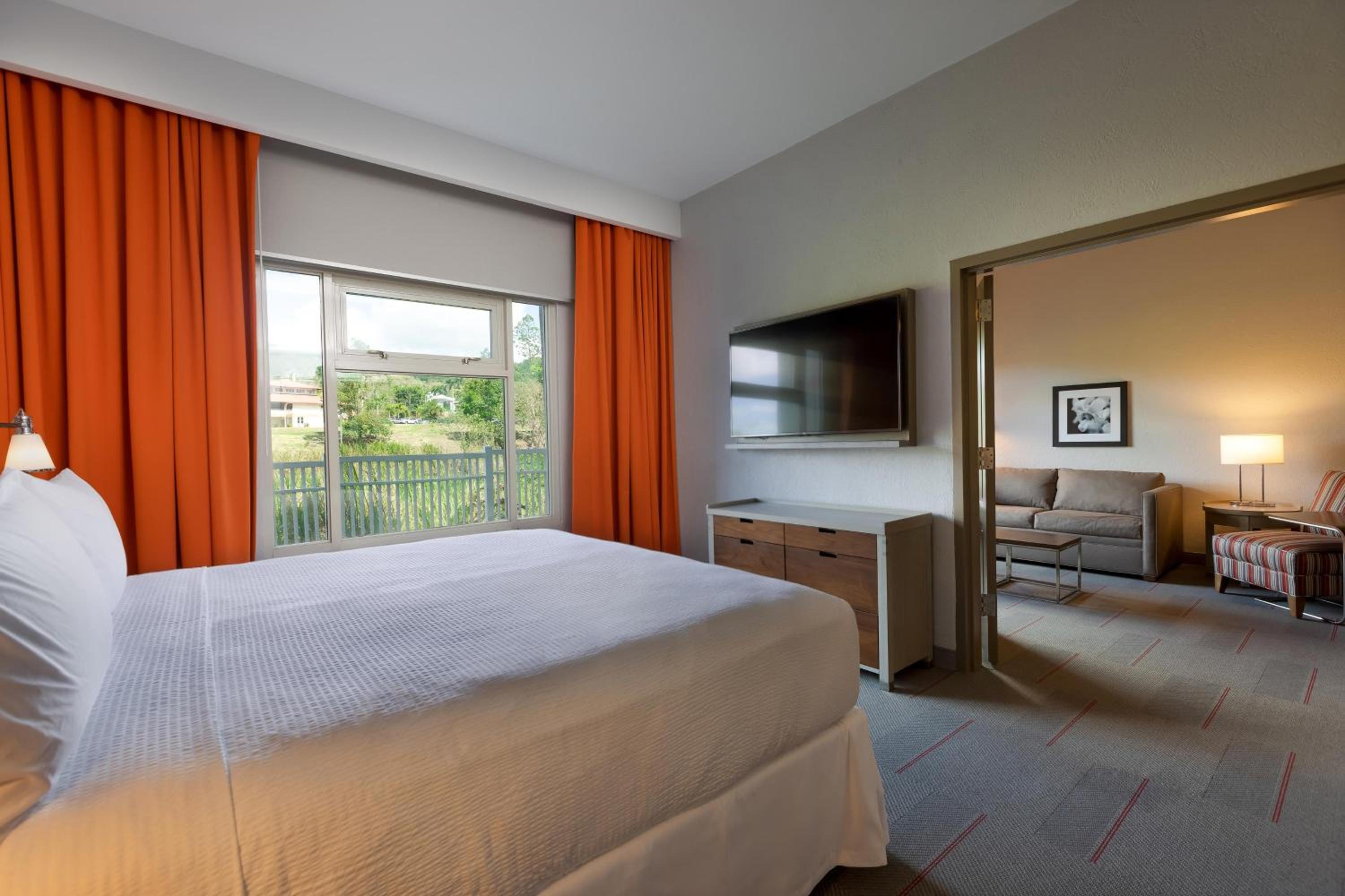 Suite, Suite, 1 King, Sofa bed - Photo 1
