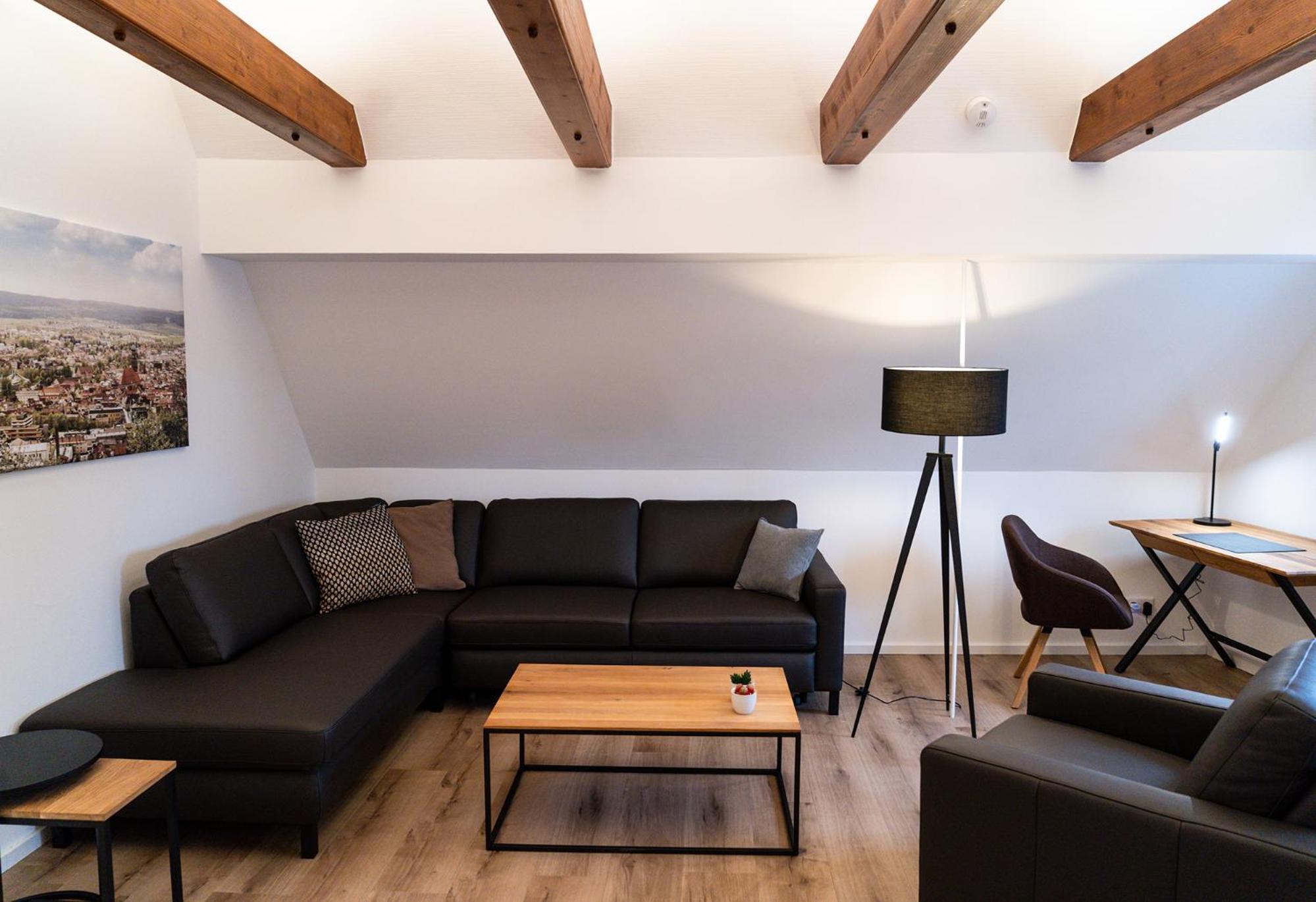 Penthouse Apartment photo 1