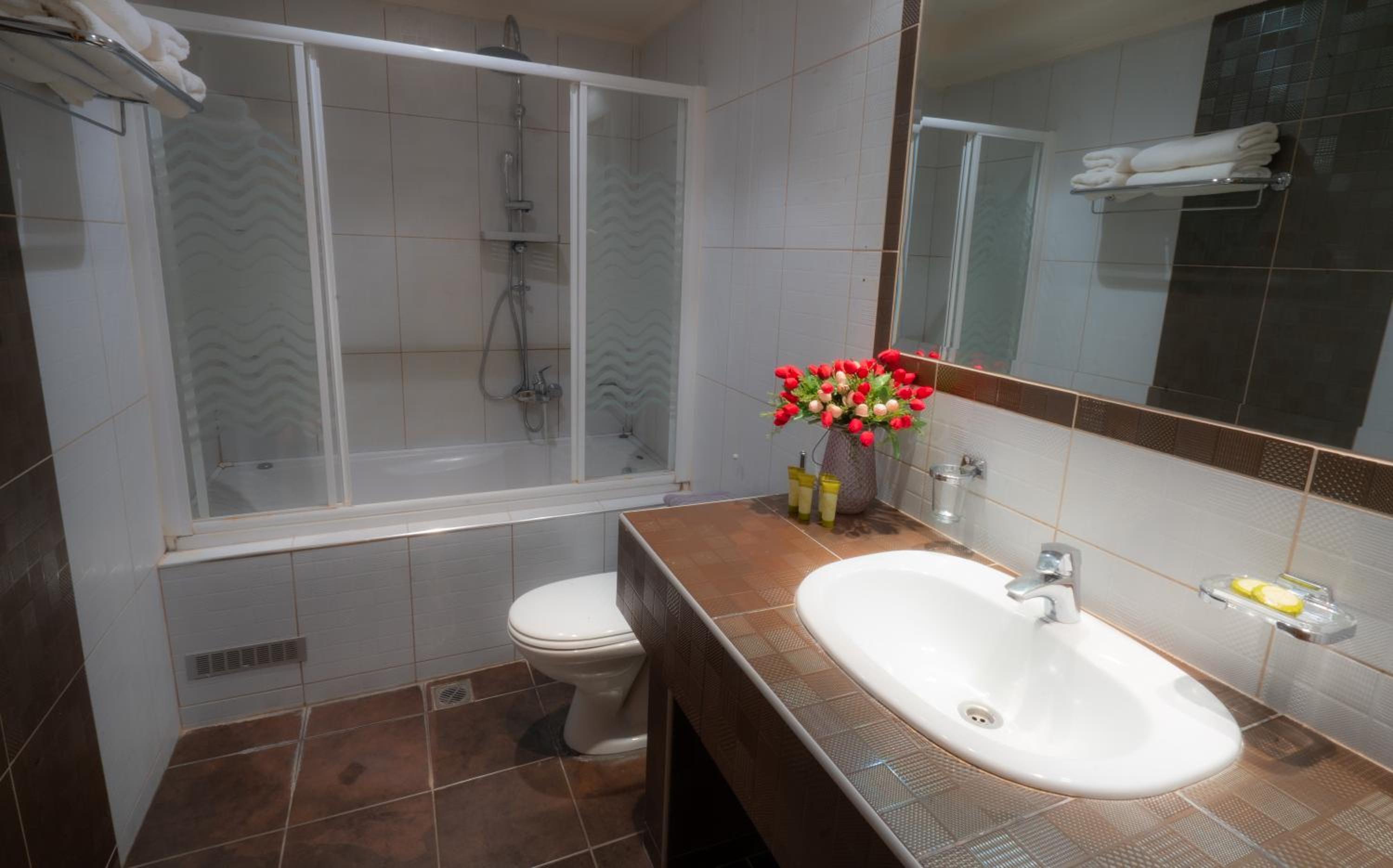 Deluxe Suite - Photo 4