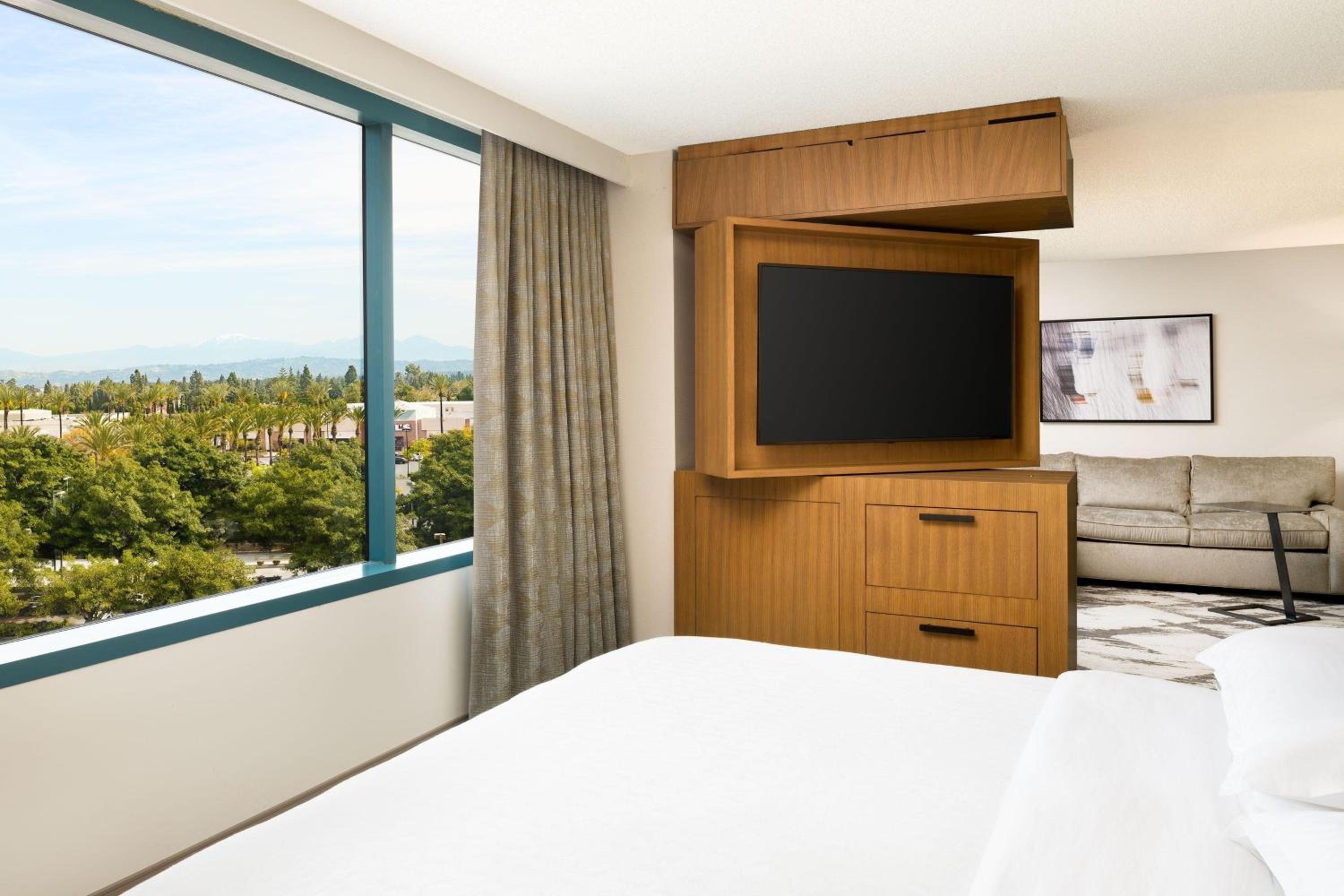 Junior Suite, 1 King - Photo 4