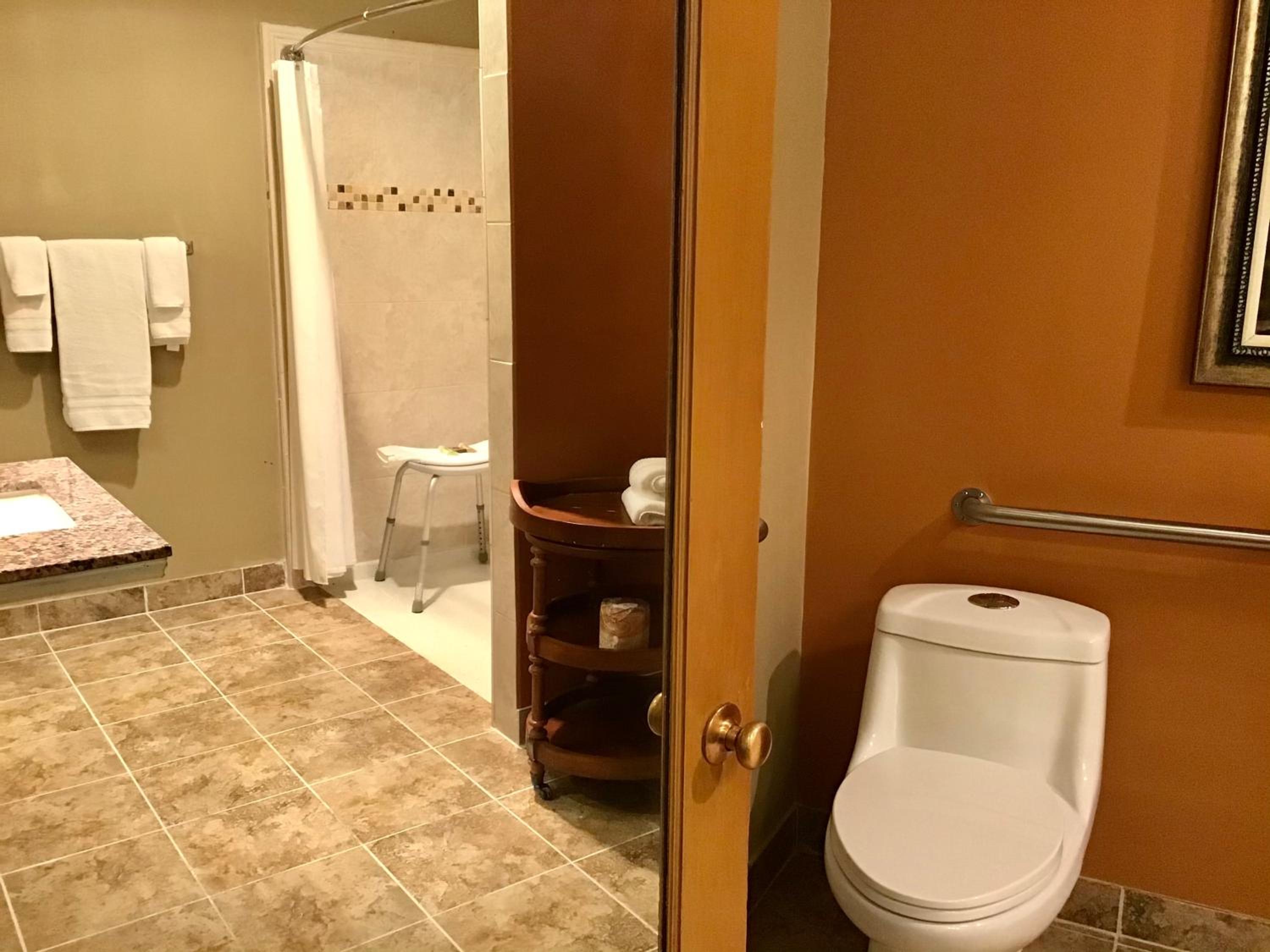 Deluxe King Room - Photo 7